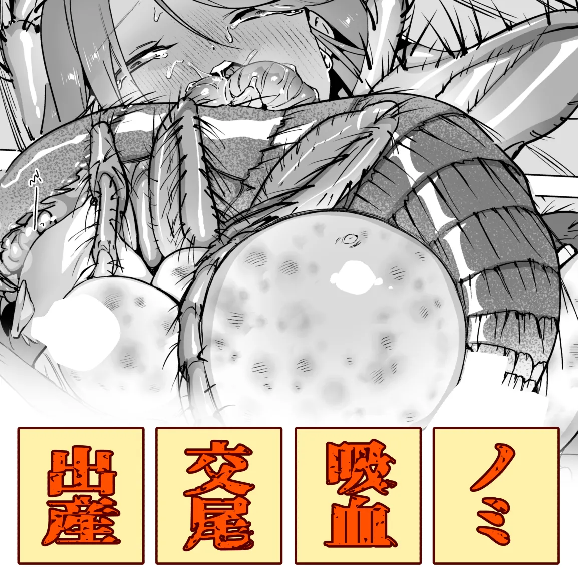 ノミとお昼寝少女