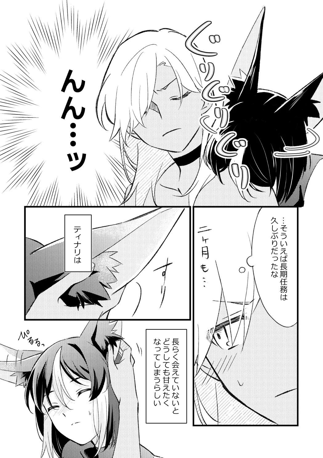 プライベート・アプローチ Page.22