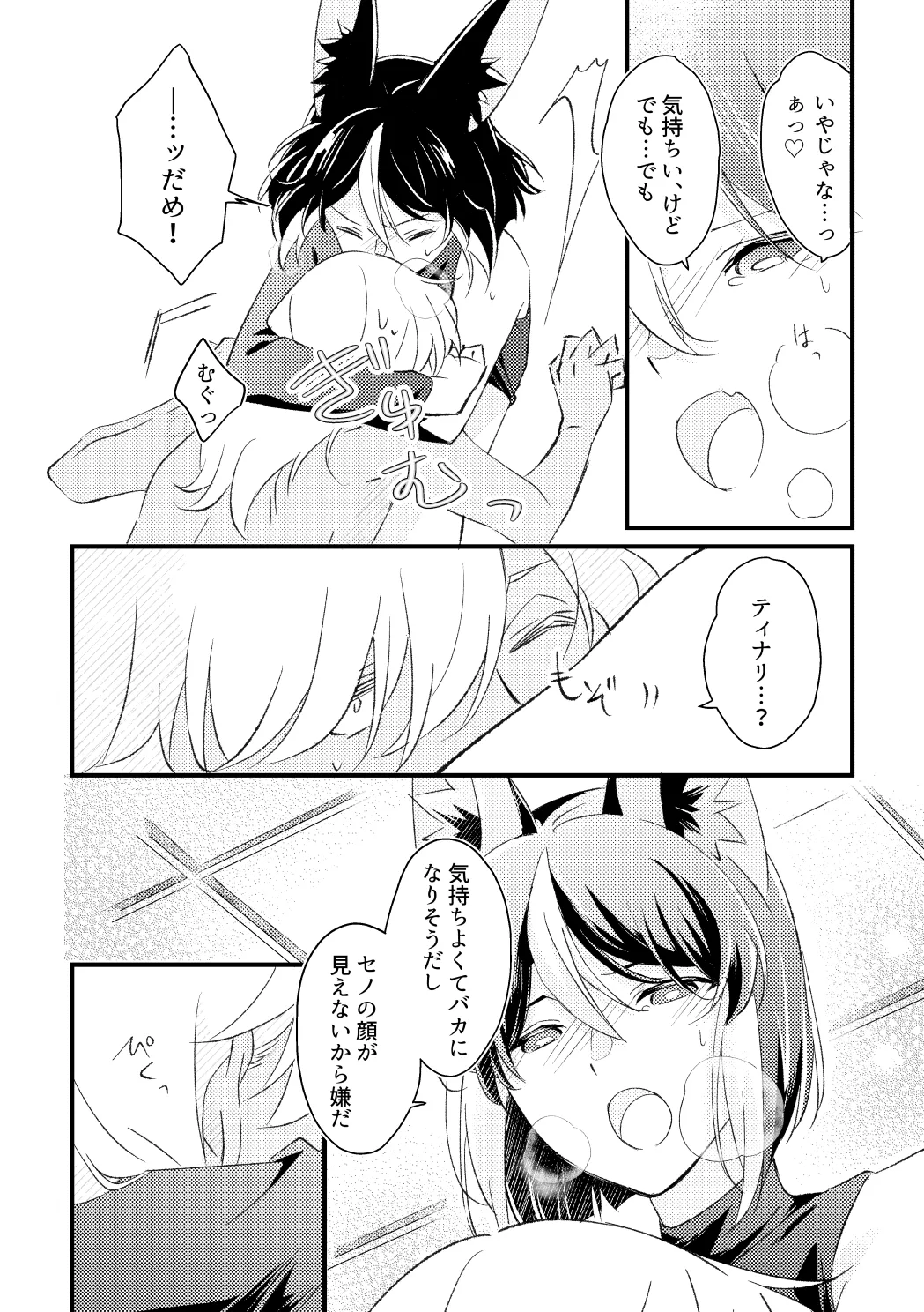 プライベート・アプローチ Page.29