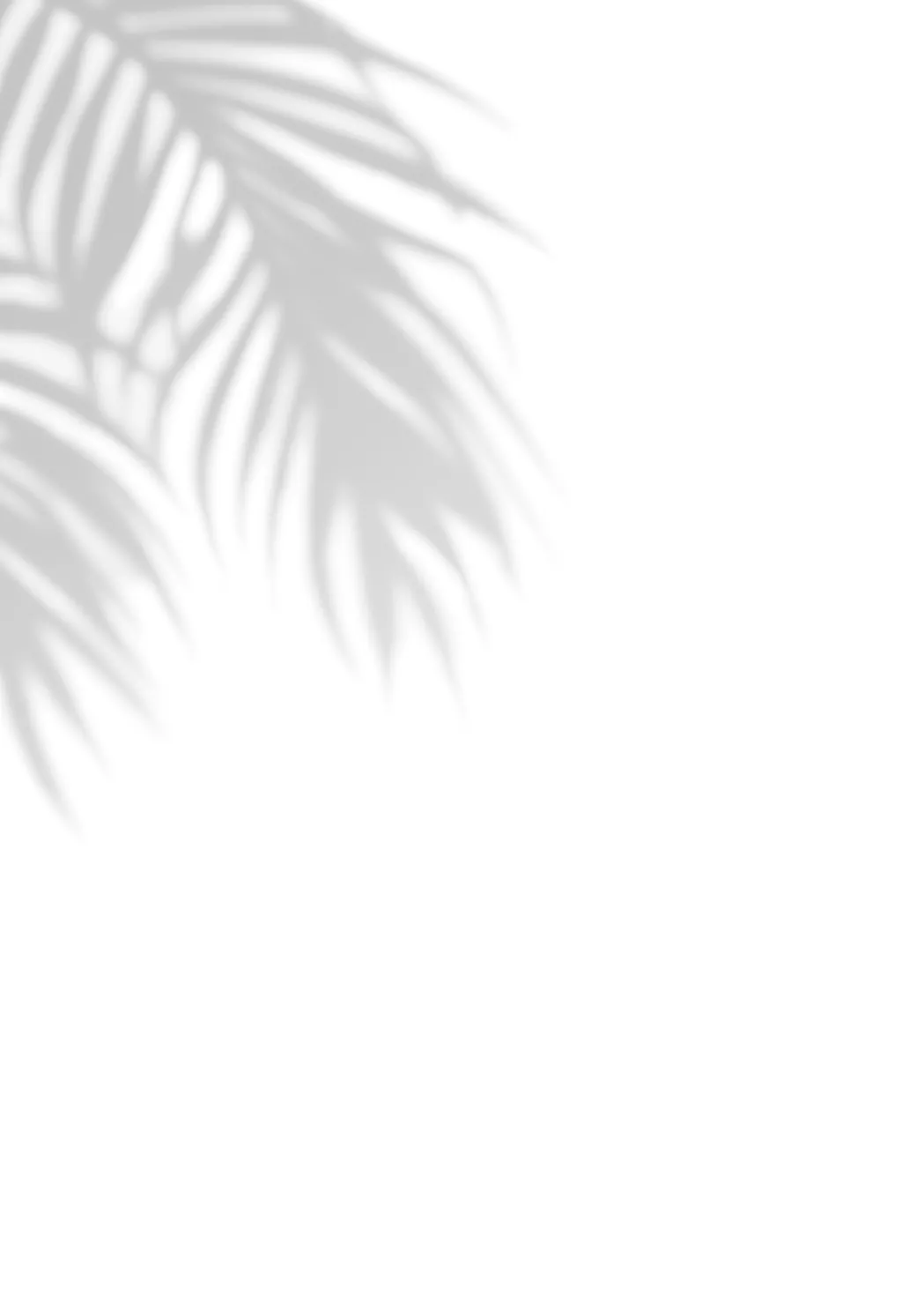 プライベート・アプローチ Page.48