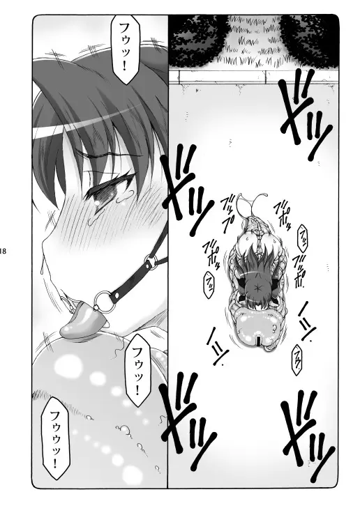 蟲鳥総集編2 デジタル版 Page.17