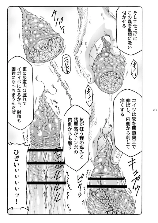 蟲鳥総集編2 デジタル版 Page.62