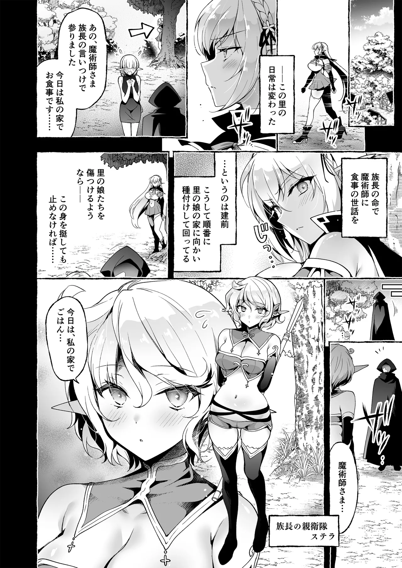 淫紋魔術師のエルフハーレム Page.10