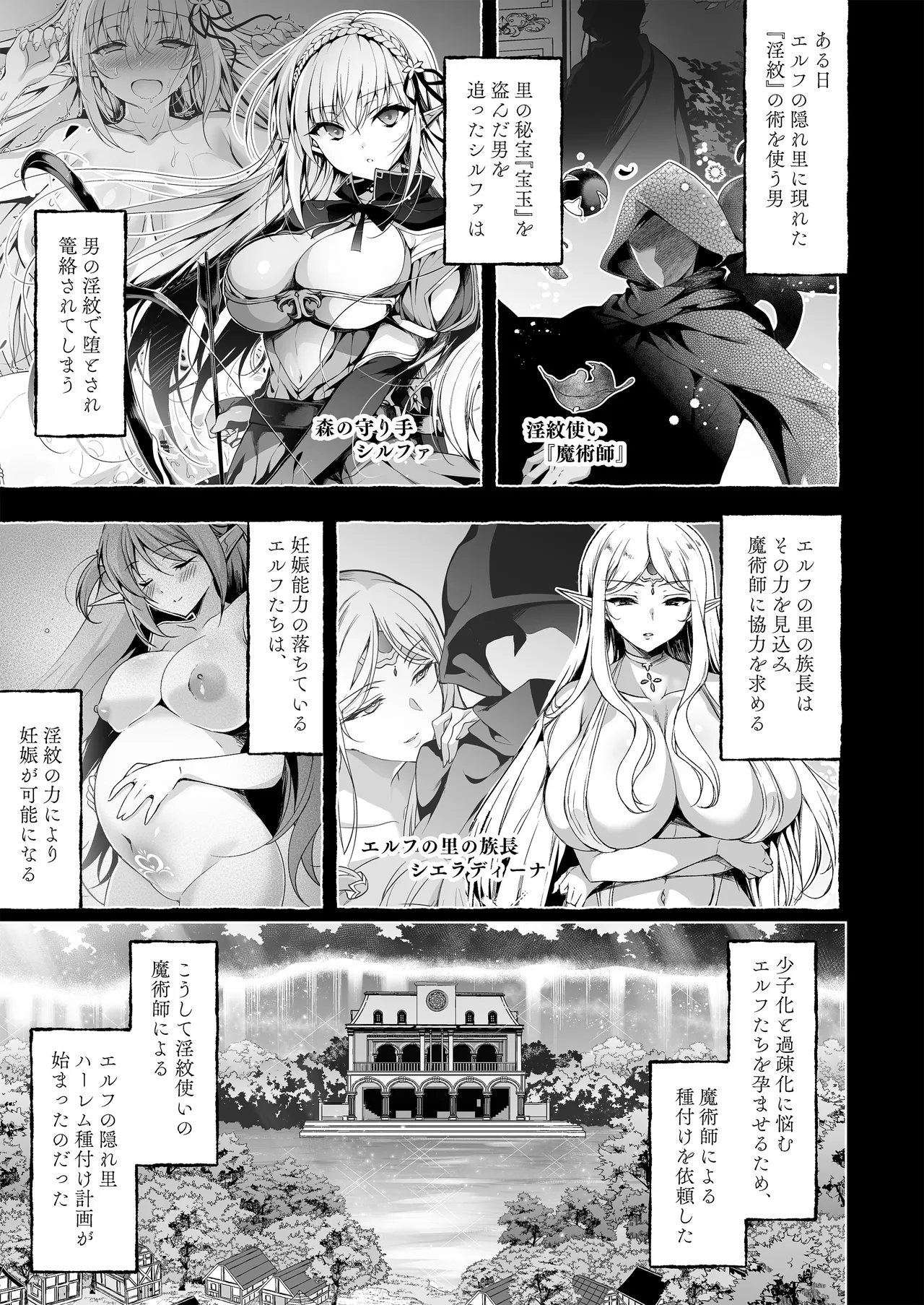 淫紋魔術師のエルフハーレム Page.3