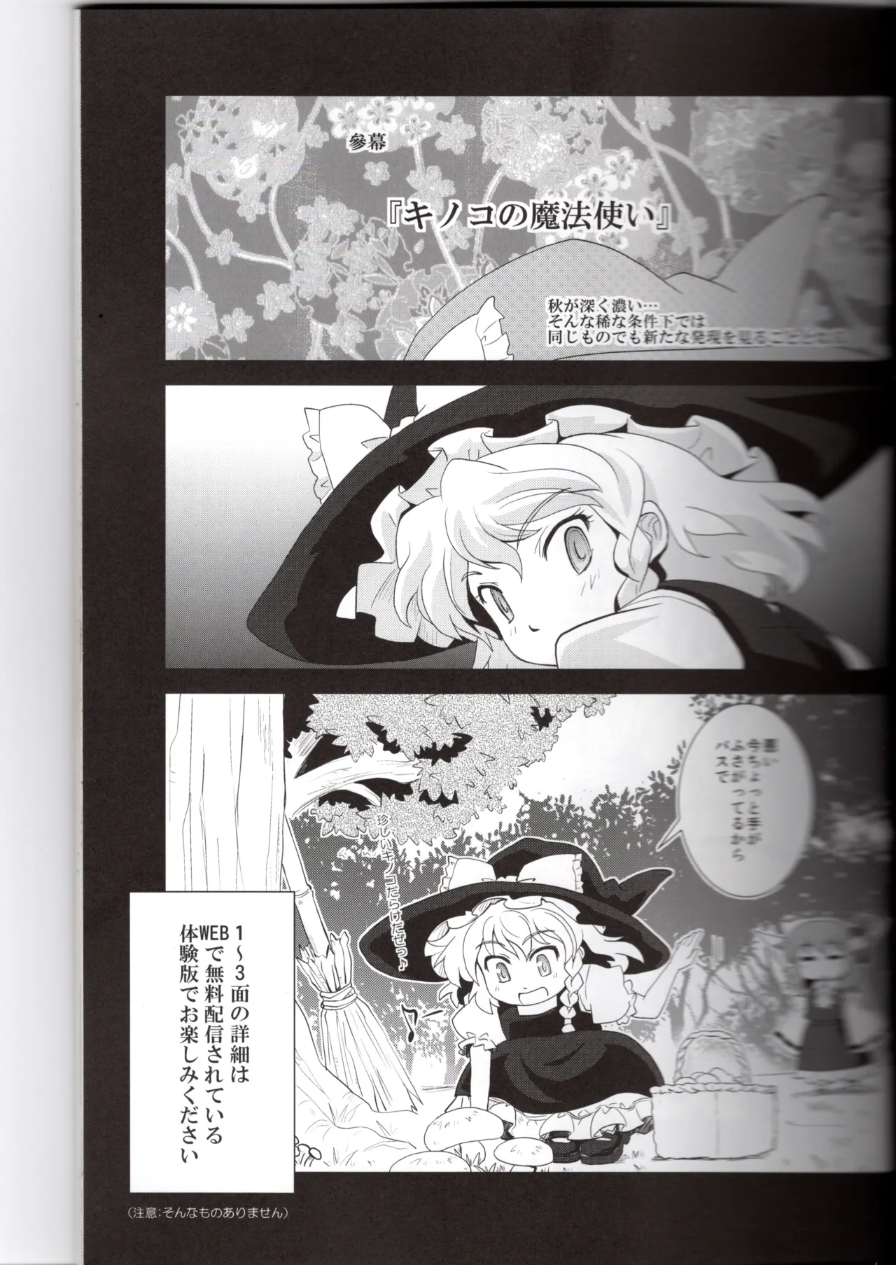 博麗神社に秋が来ない(東方project) Page.11