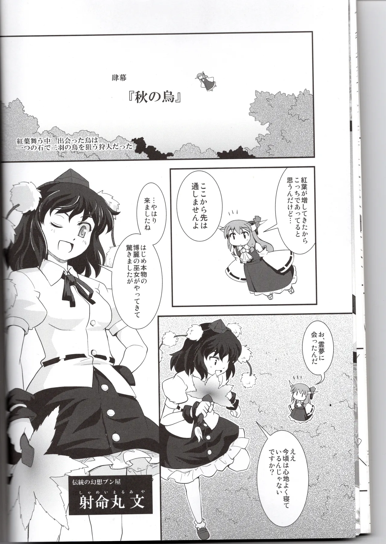 博麗神社に秋が来ない(東方project) Page.12