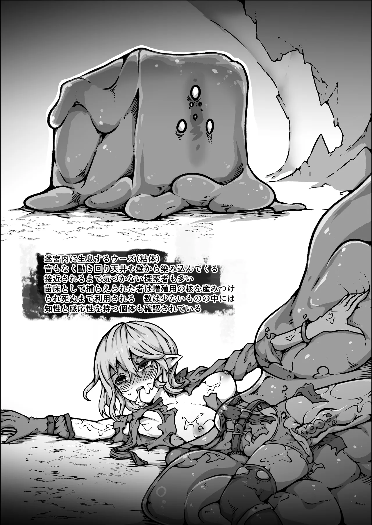 聖兵少女は粘液の底に吞まれる Page.41