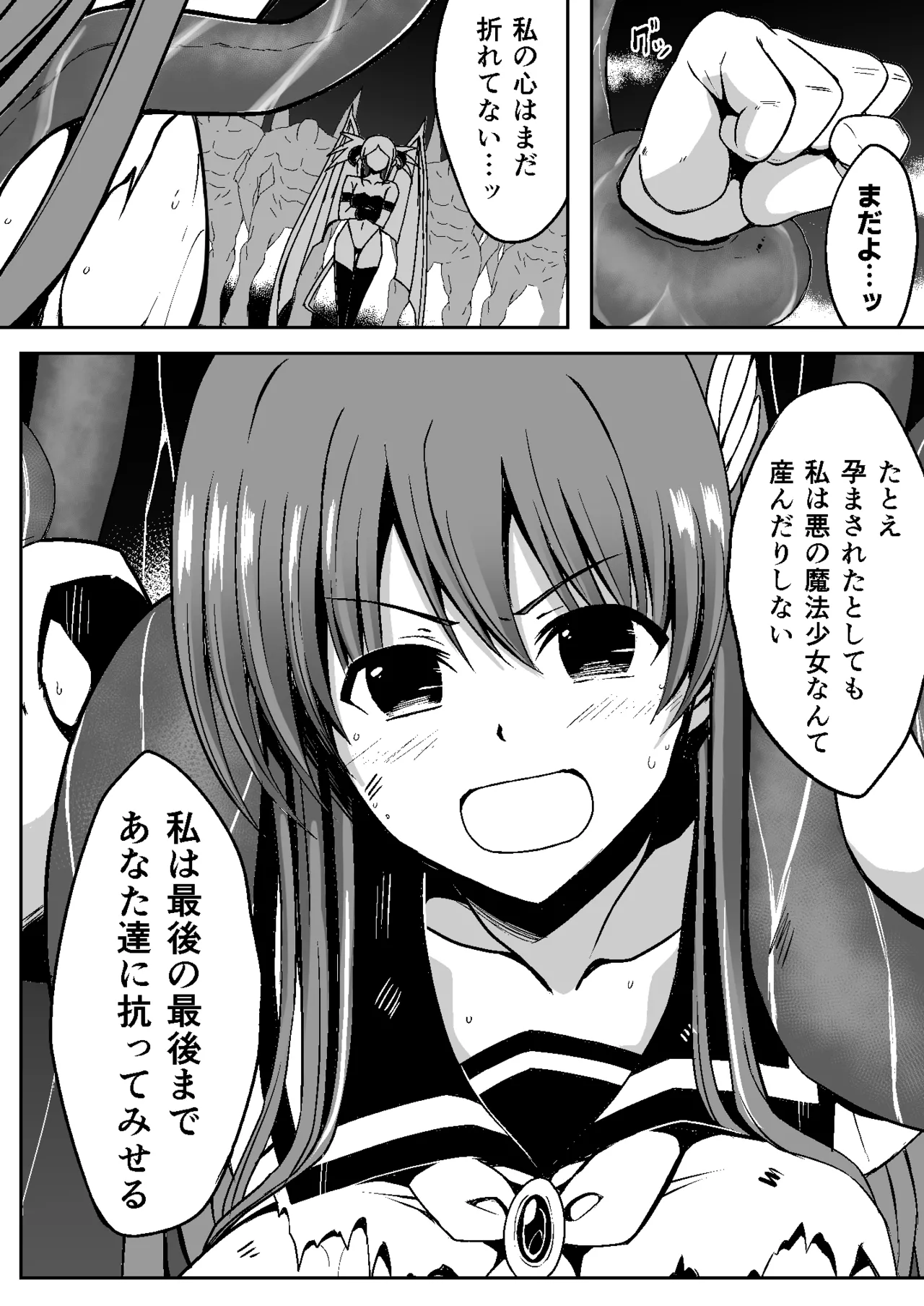 魔法少女繁殖計画 Page.41