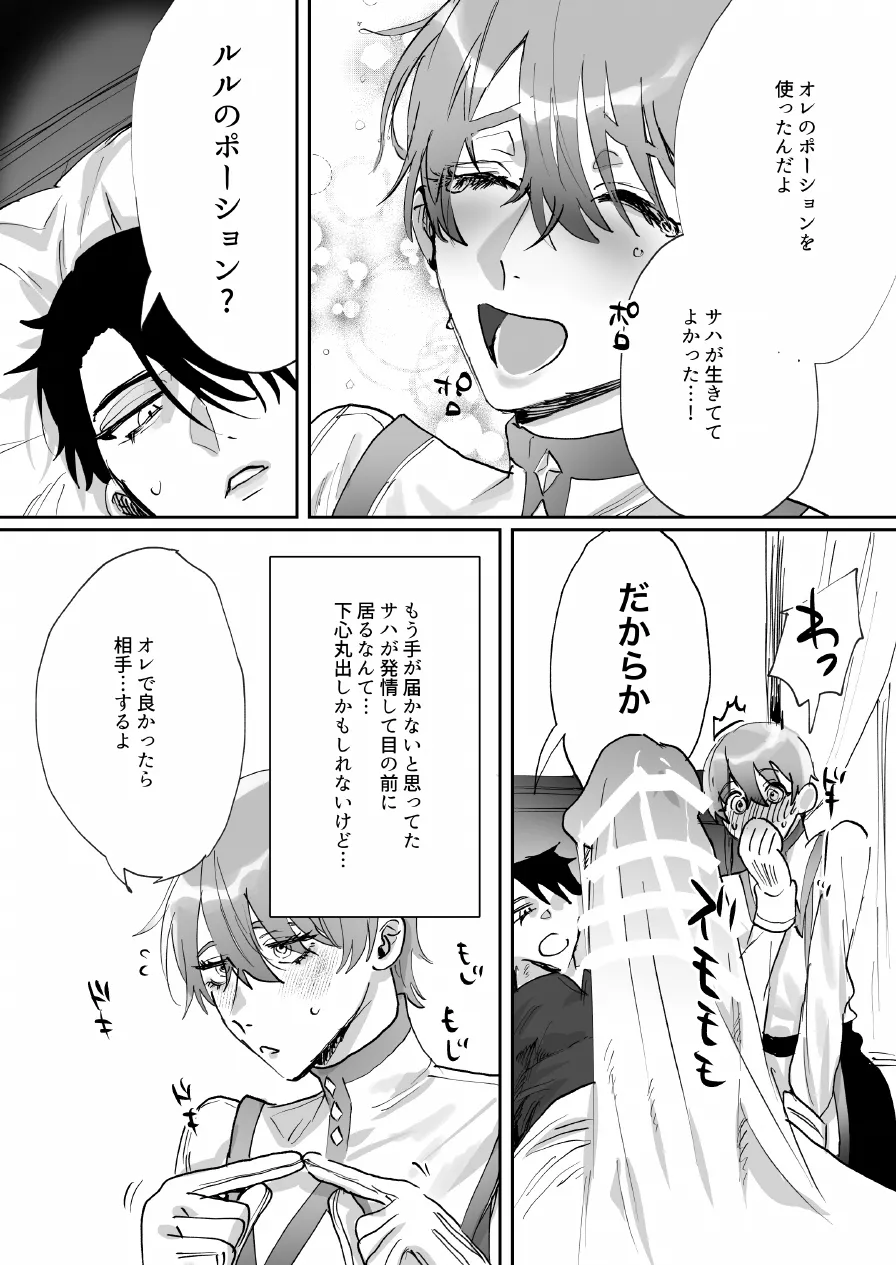 なんでパーティ追放したかと聞かれてもお前(ヒーラー)の作る回復薬が全部媚薬だからなんだが? Page.13