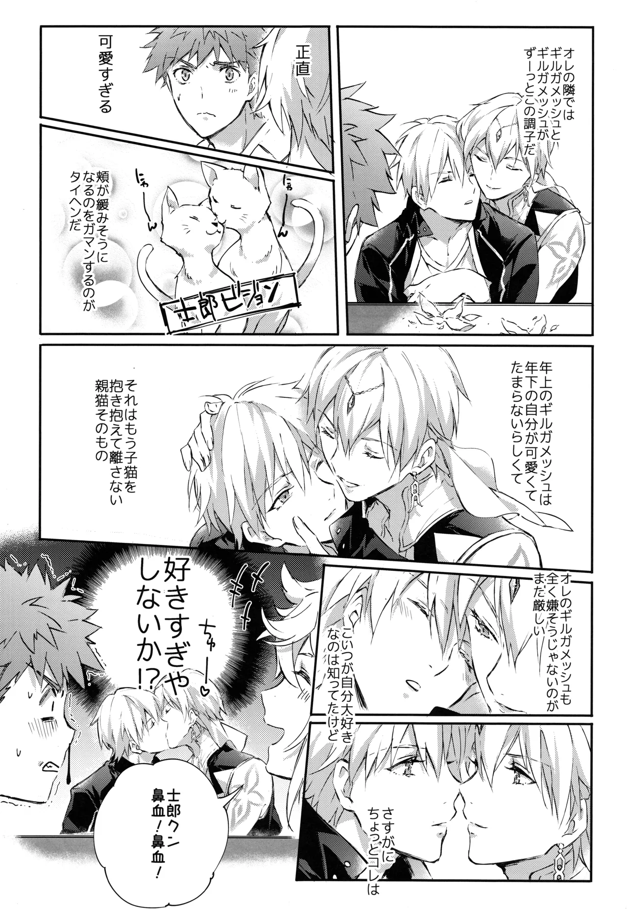 衛宮さん家の居候年末スペシャル Page.28