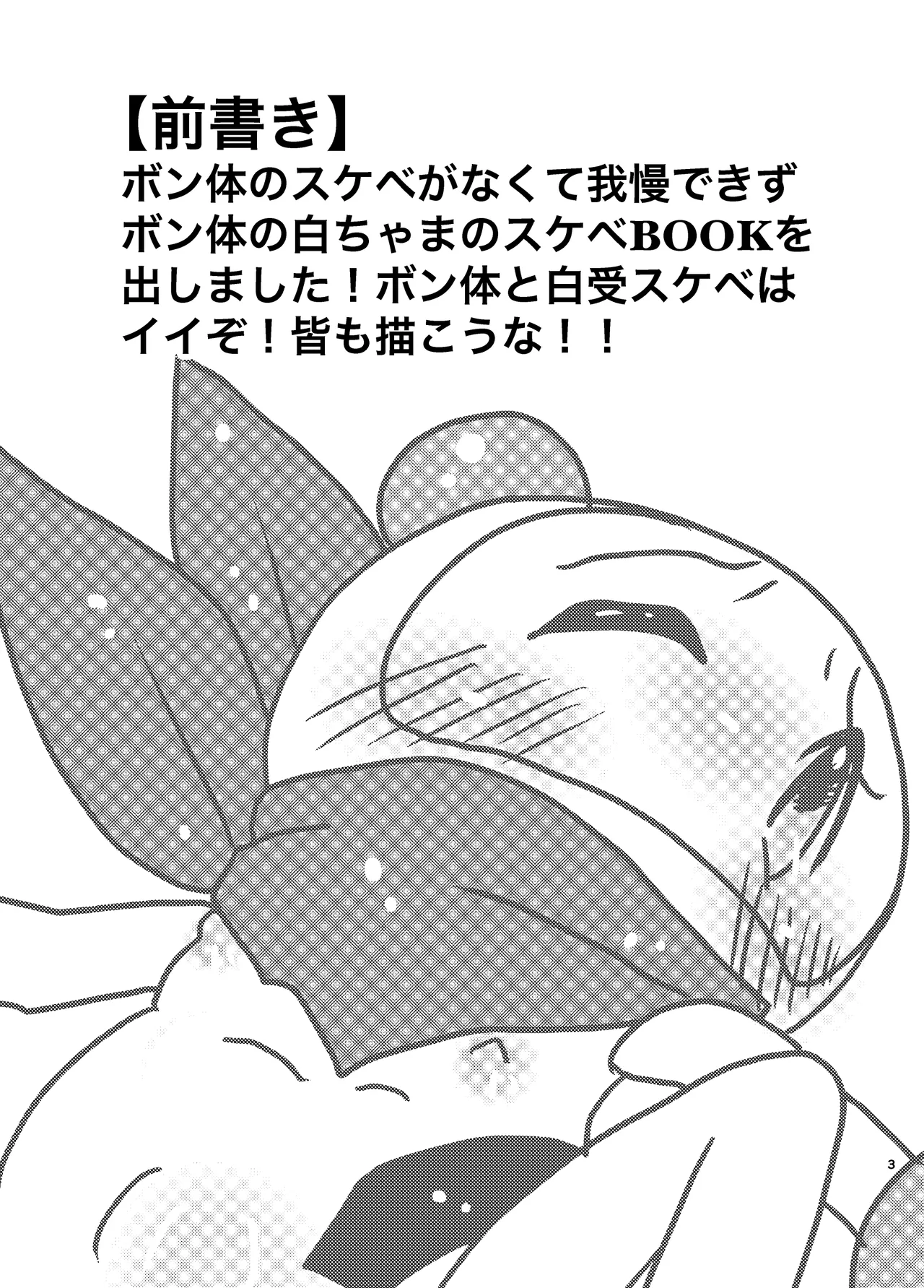 エッチなボン体がみたい！ Page.3