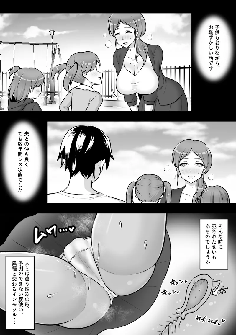昆蟲研究所5 Page.11