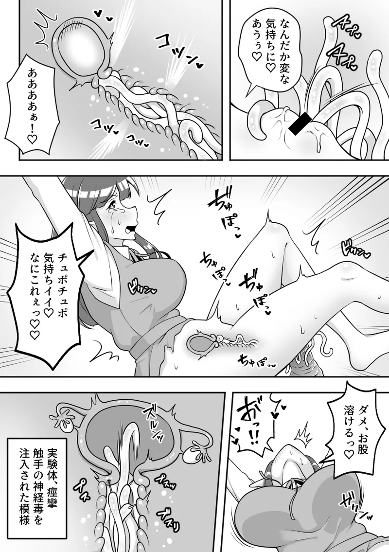 昆蟲研究所 Page.12