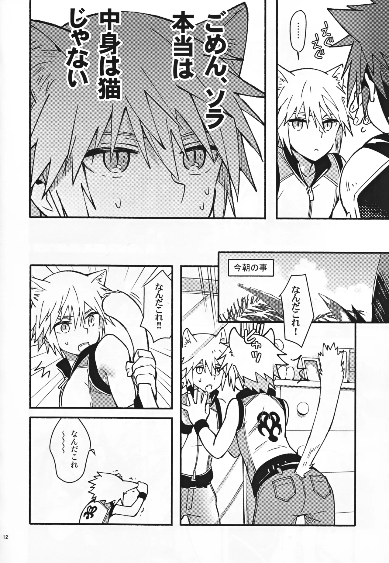 魔法にかけられた Page.11