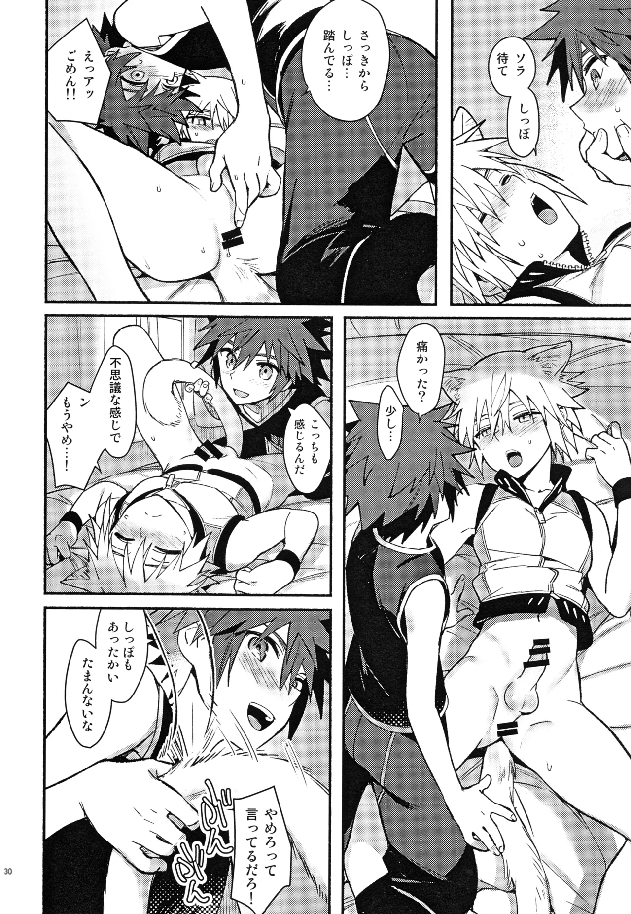 魔法にかけられた Page.29