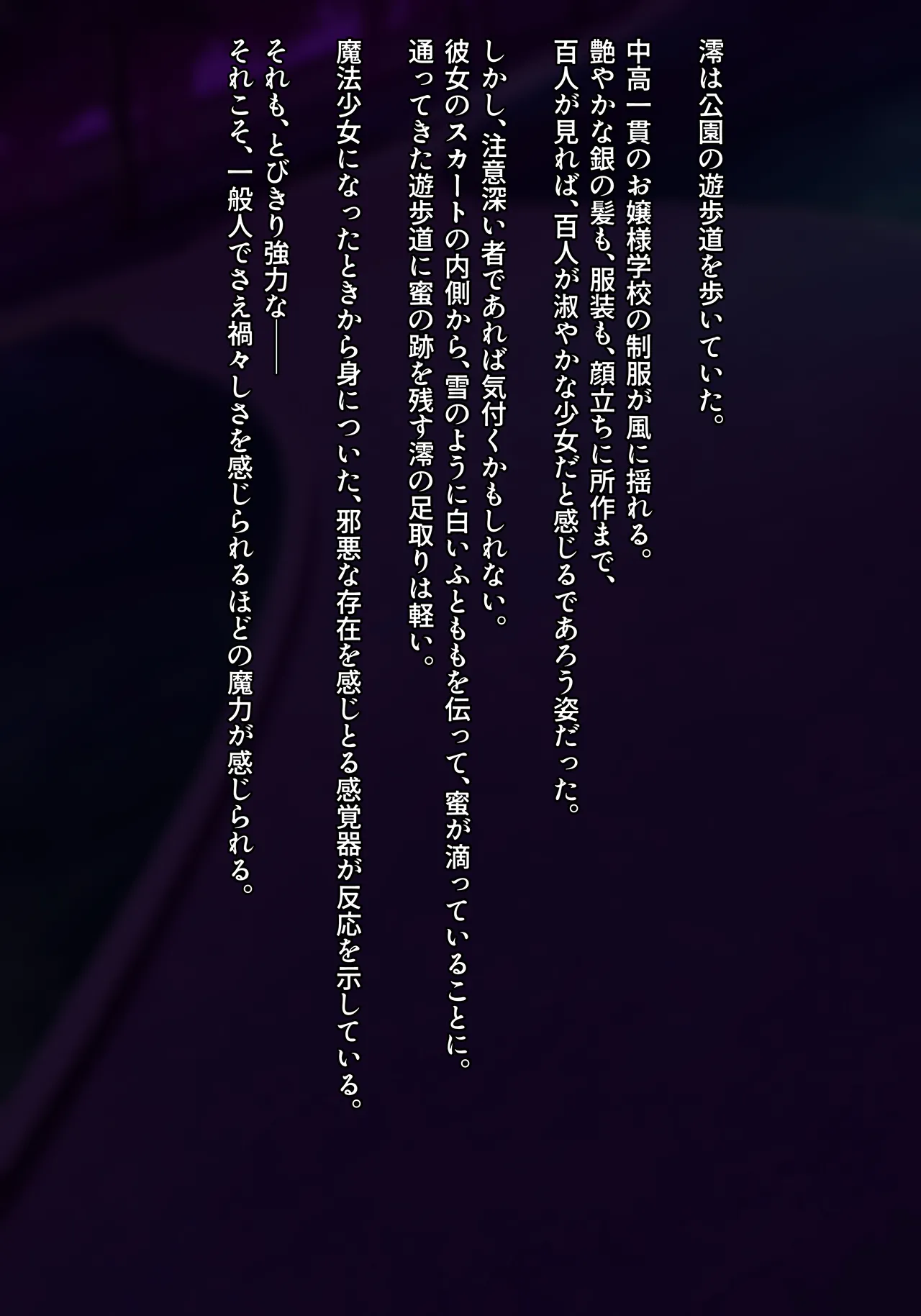 魔法少女雪宮澪 【総集編】 2021-2024 ★新堕ちコスシリーズ Page.24