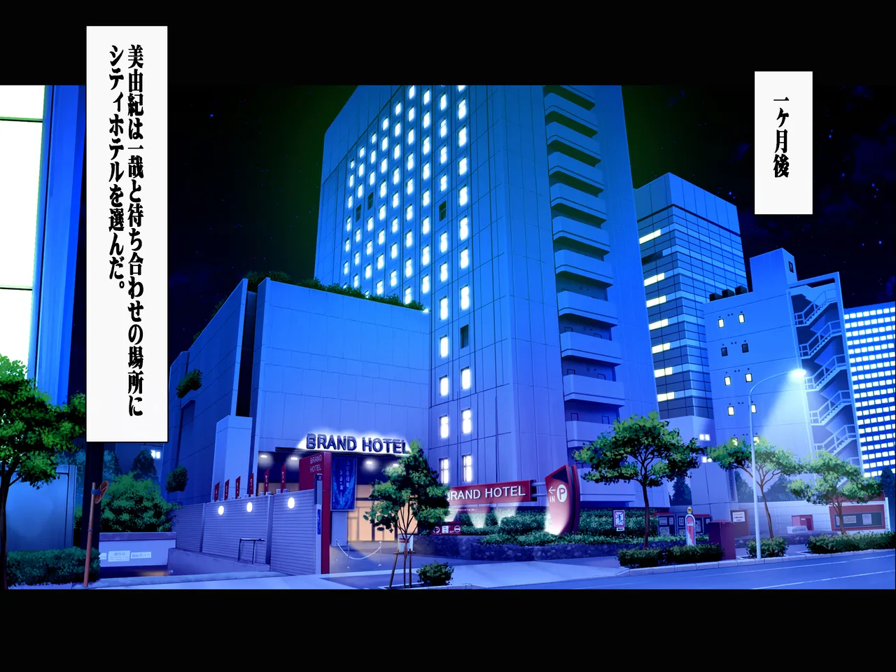 搾精義母に生種付け 妻公認の代理懐胎 Page.11
