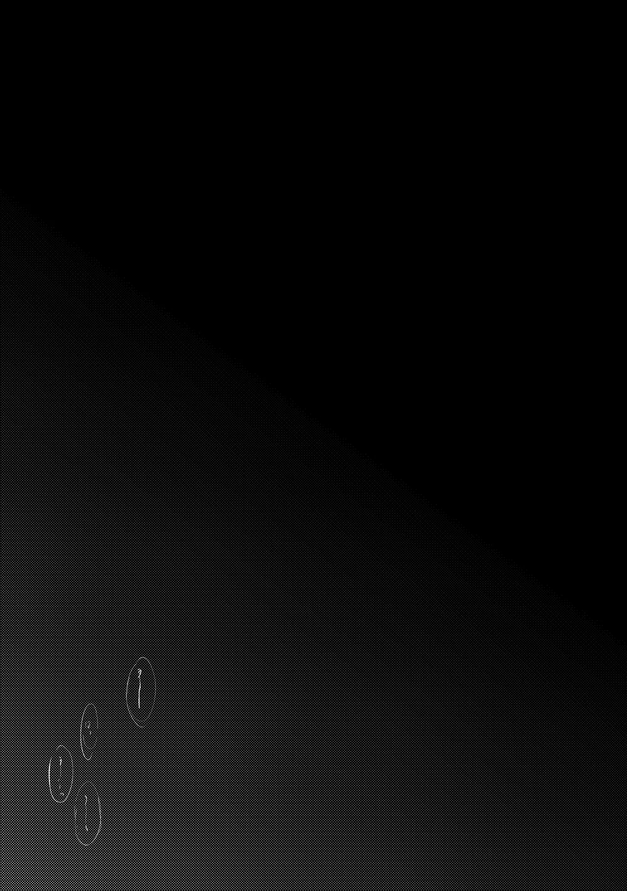 拝啓、その他大勢になれない君へ Page.44