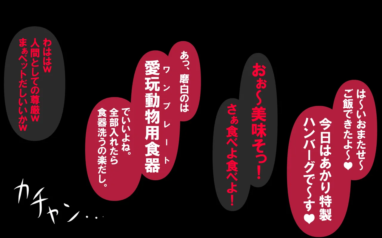 しればしるほどPHASE II Page.488