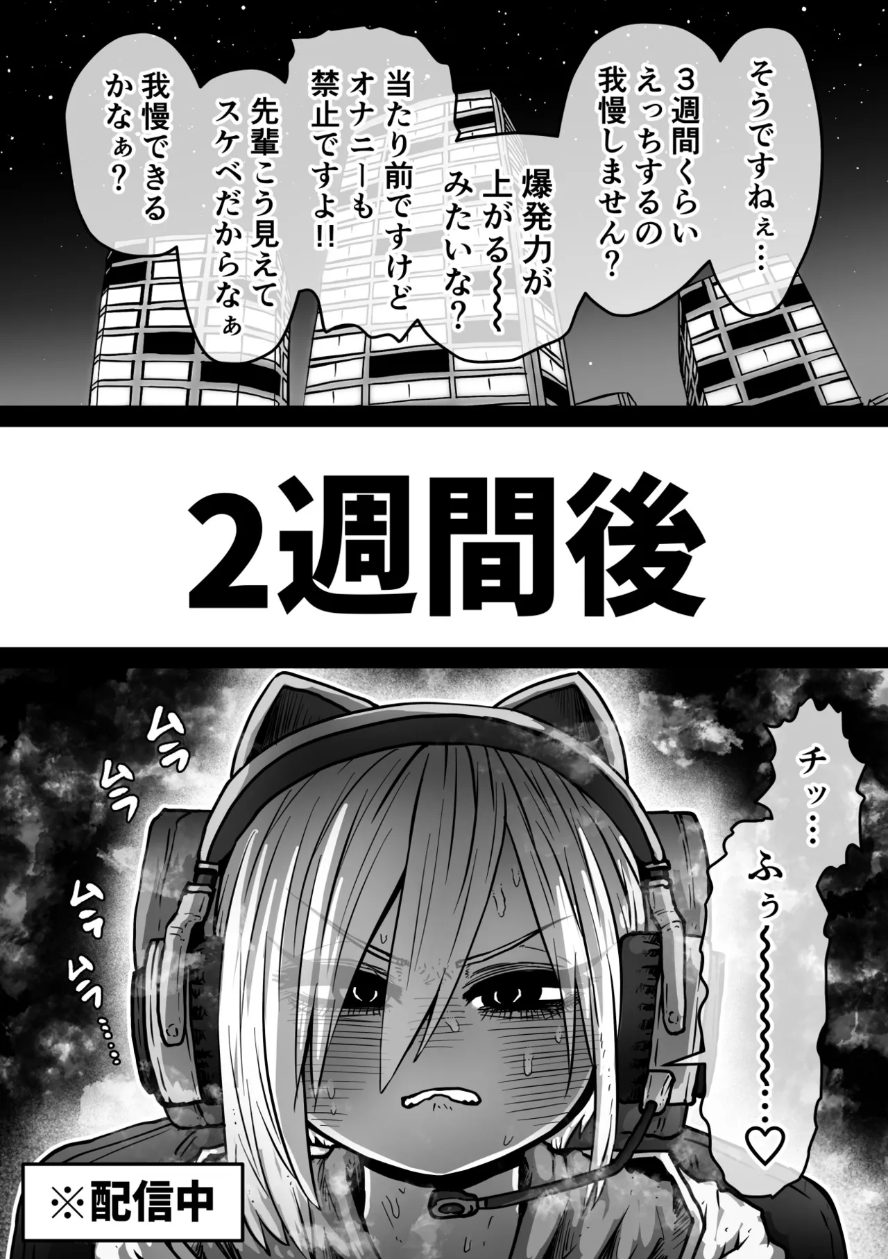 大人気配信者ときどきメス猫《後輩は陰キャ上がりのインフルエンサー》 Page.17