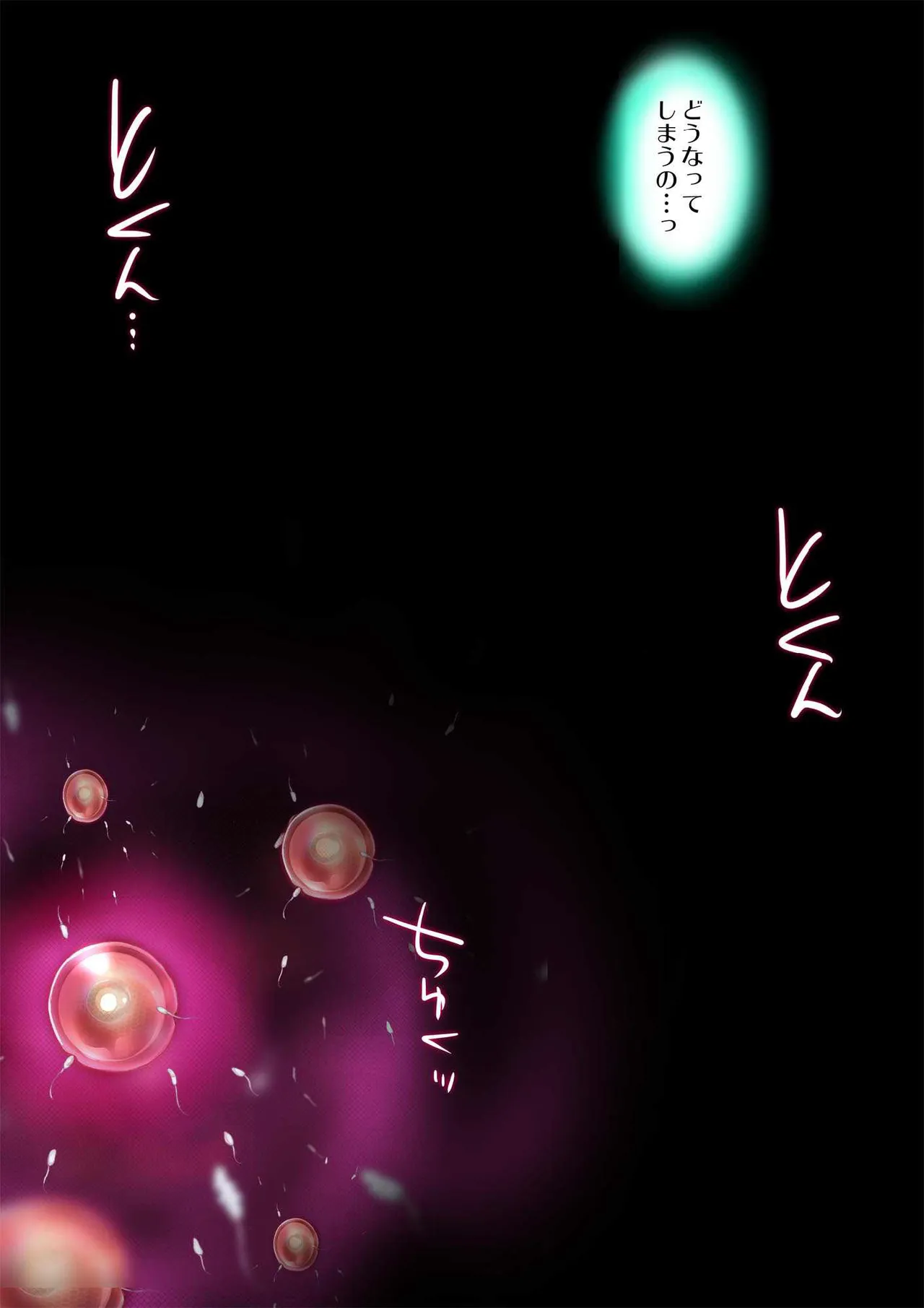 ヒロイン受胎命令・魔導神姫狩り編 ボディハッカー Page.145