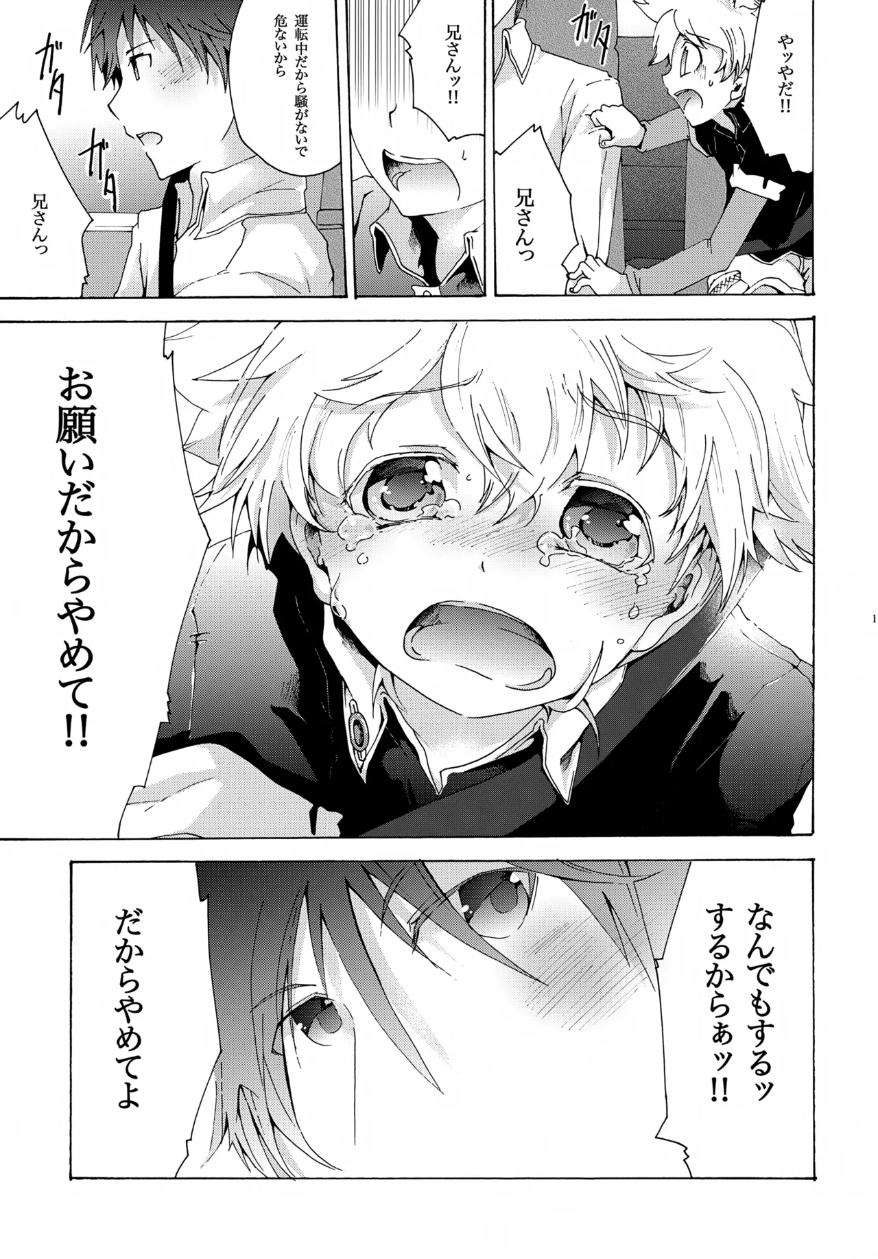 アキモミジ Page.14
