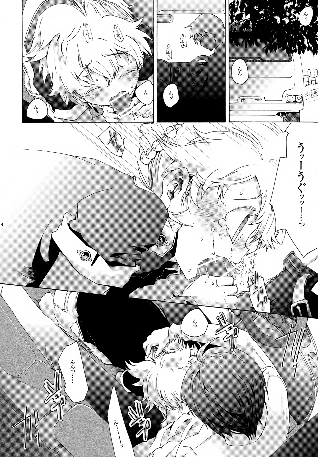 アキモミジ Page.15