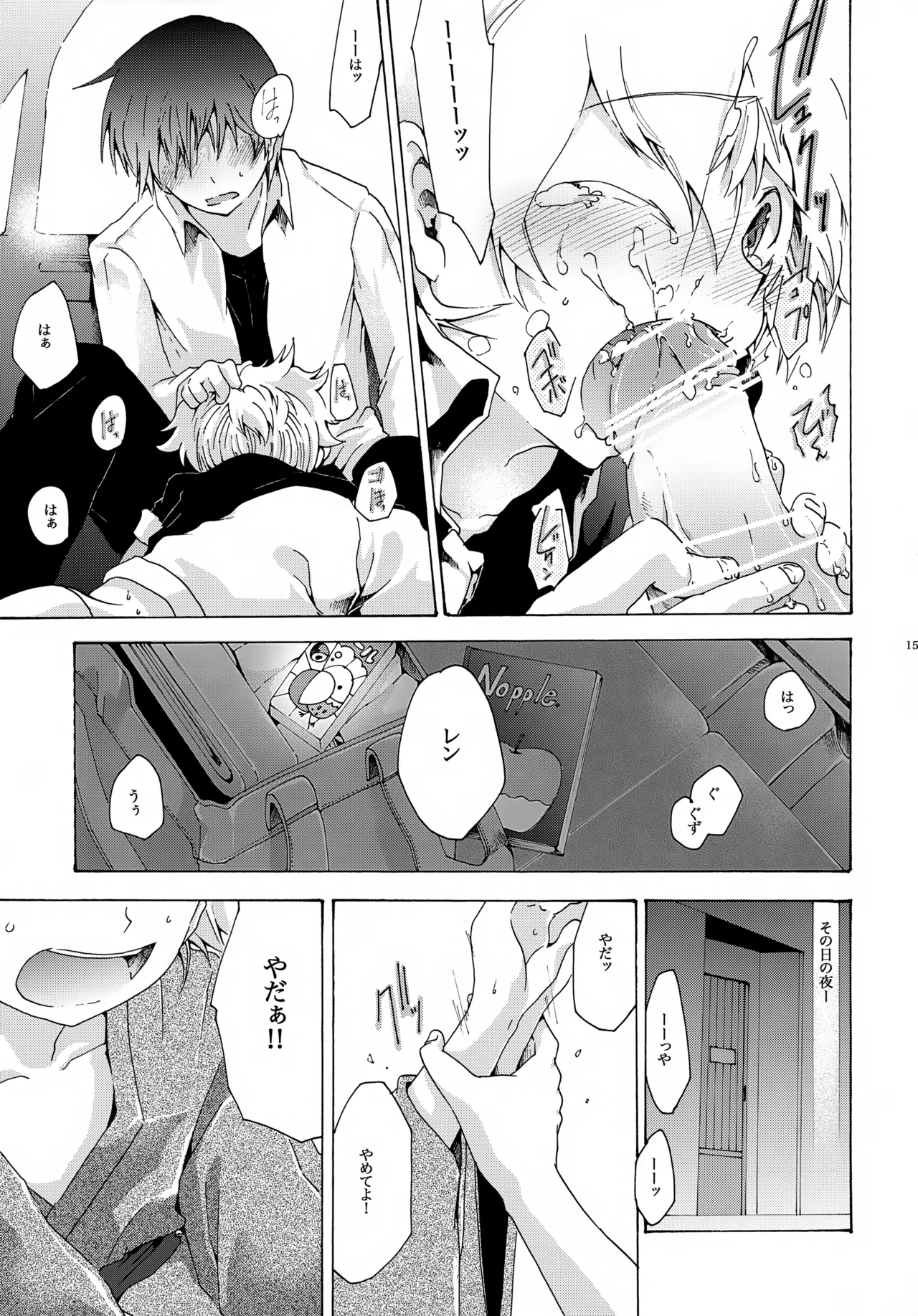 アキモミジ Page.16