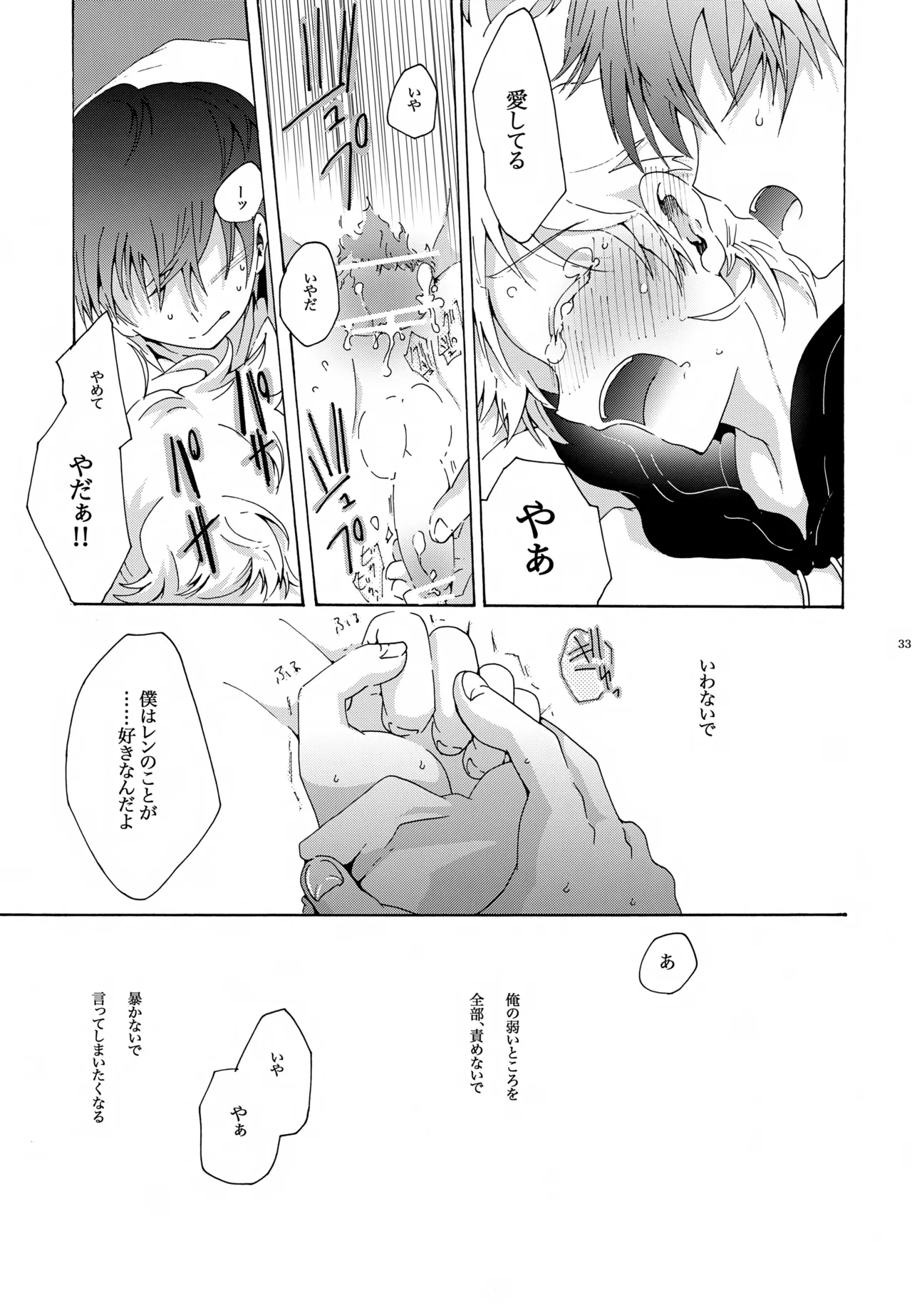 アキモミジ Page.34