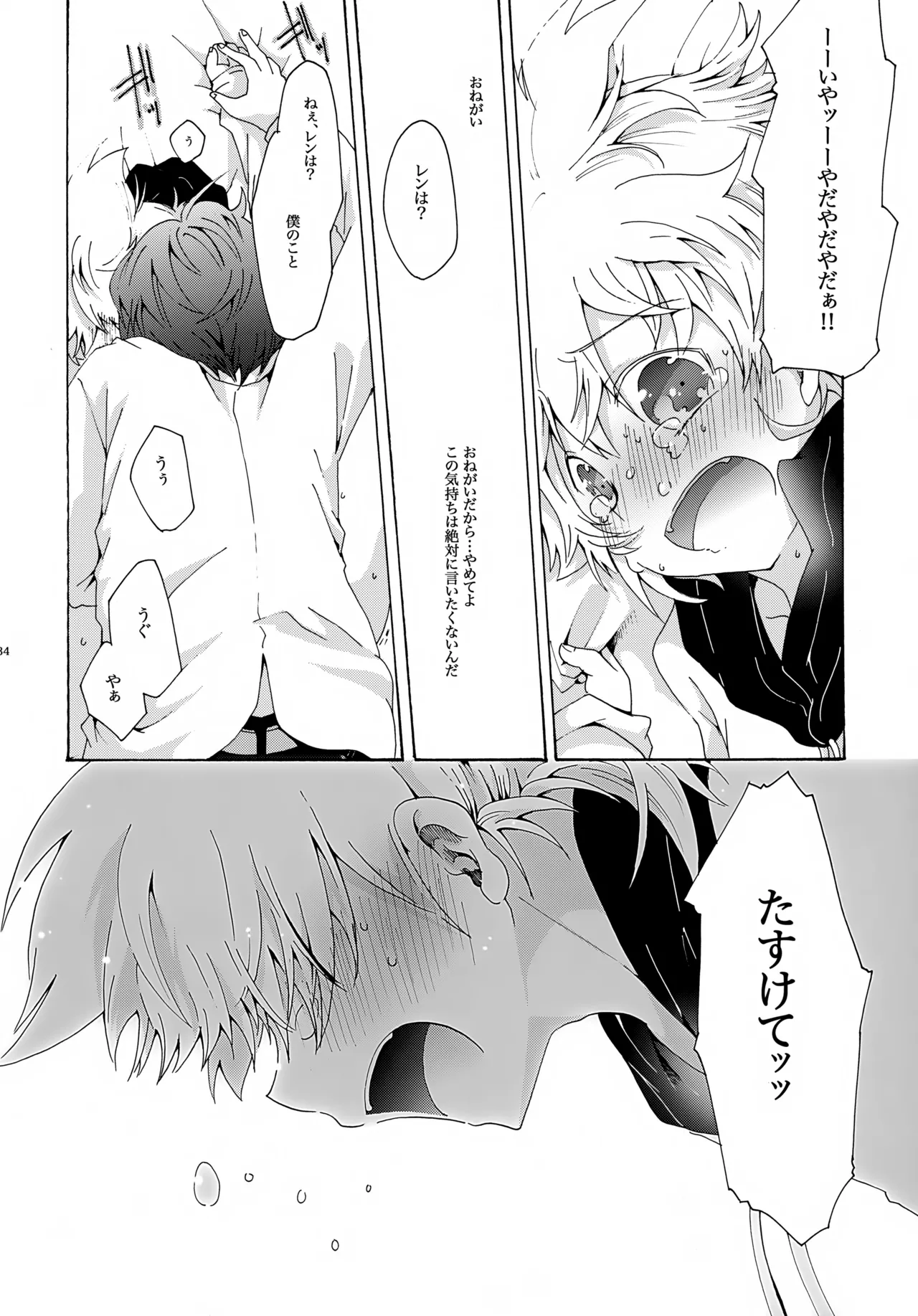 アキモミジ Page.35