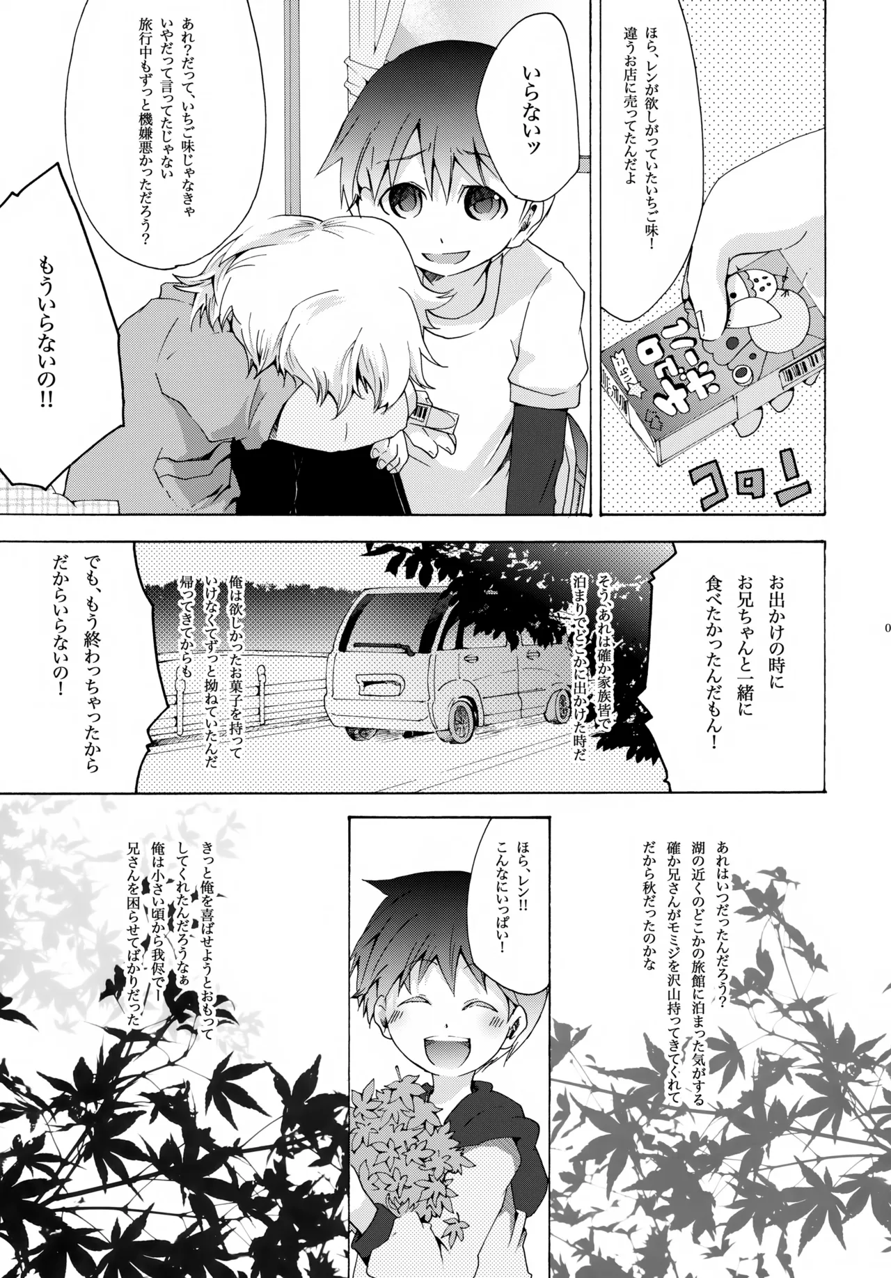 アキモミジ Page.4