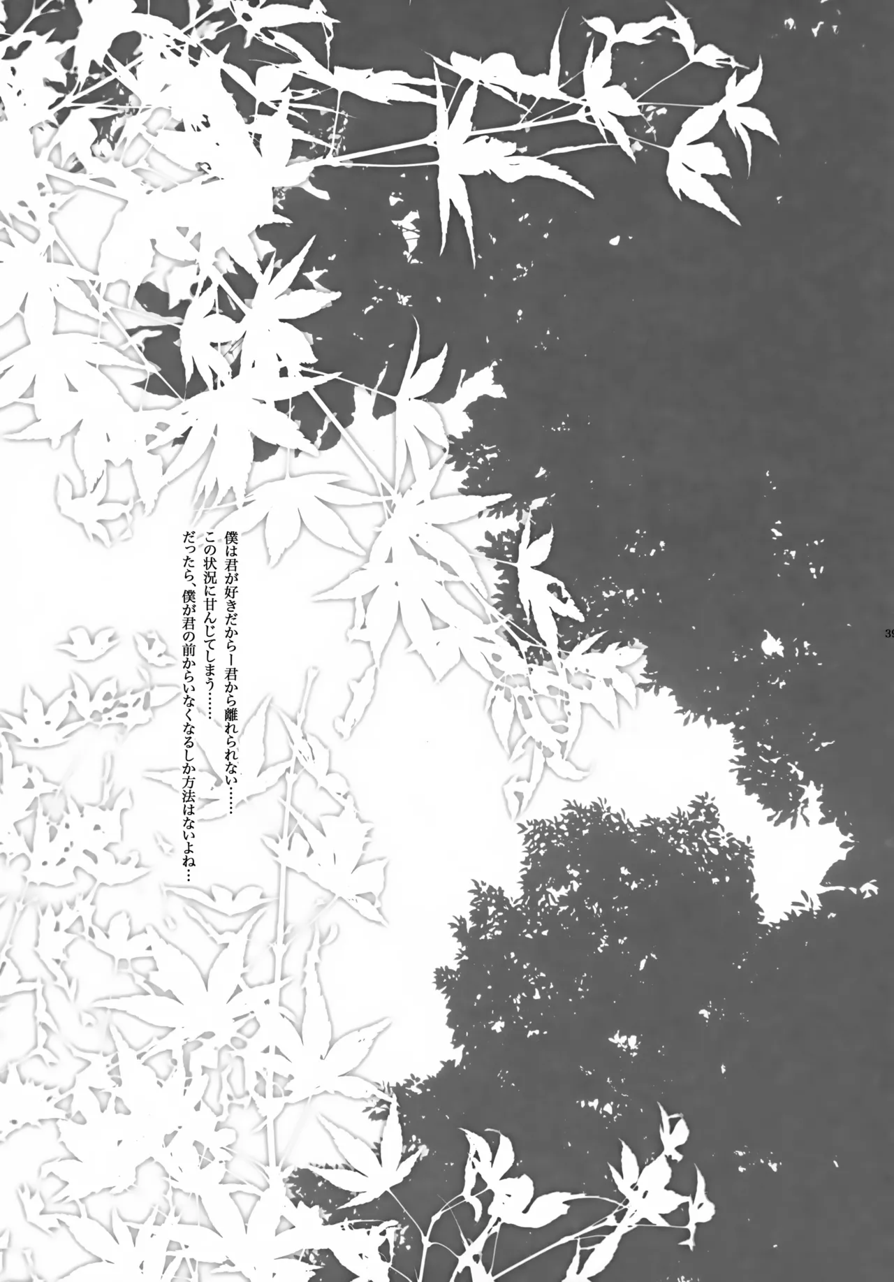 アキモミジ Page.40