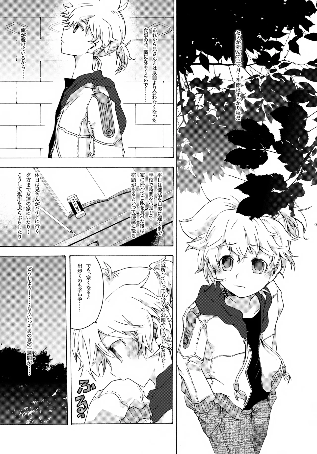アキモミジ Page.6