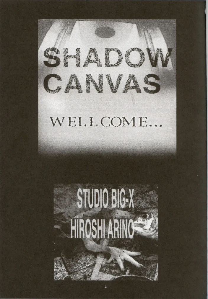 SHADOW CANVAS 13 Page.2