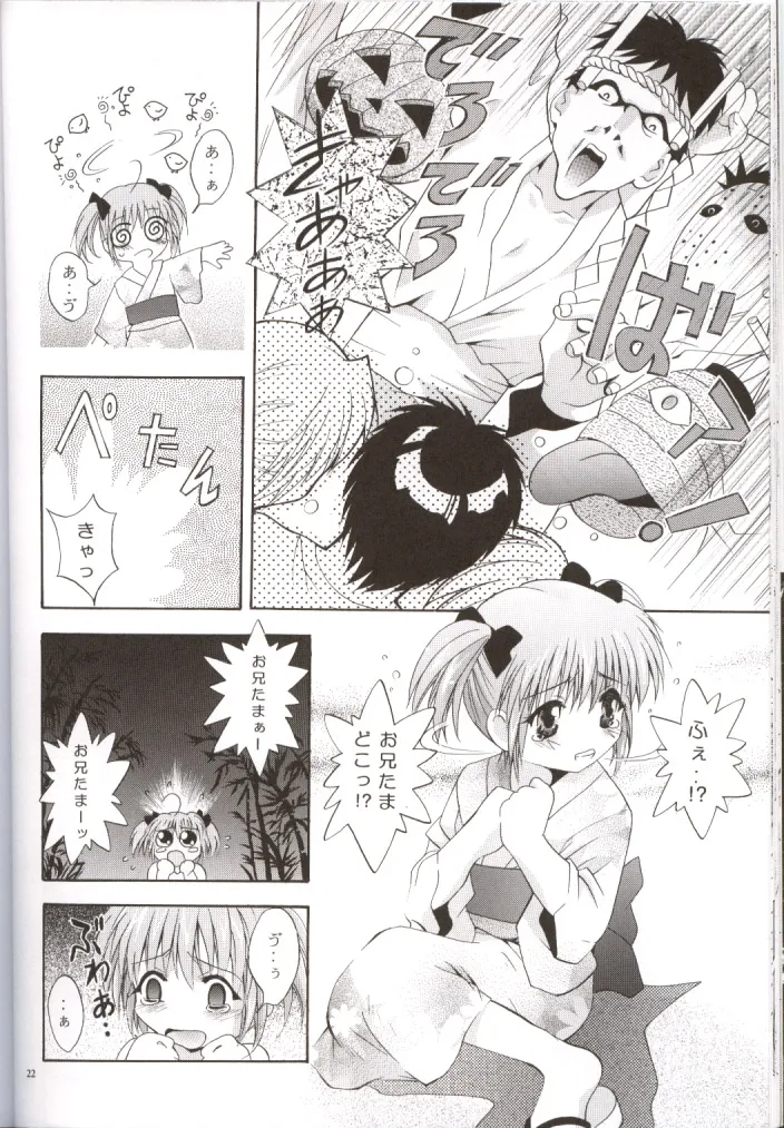 SHADOW CANVAS 13 Page.21