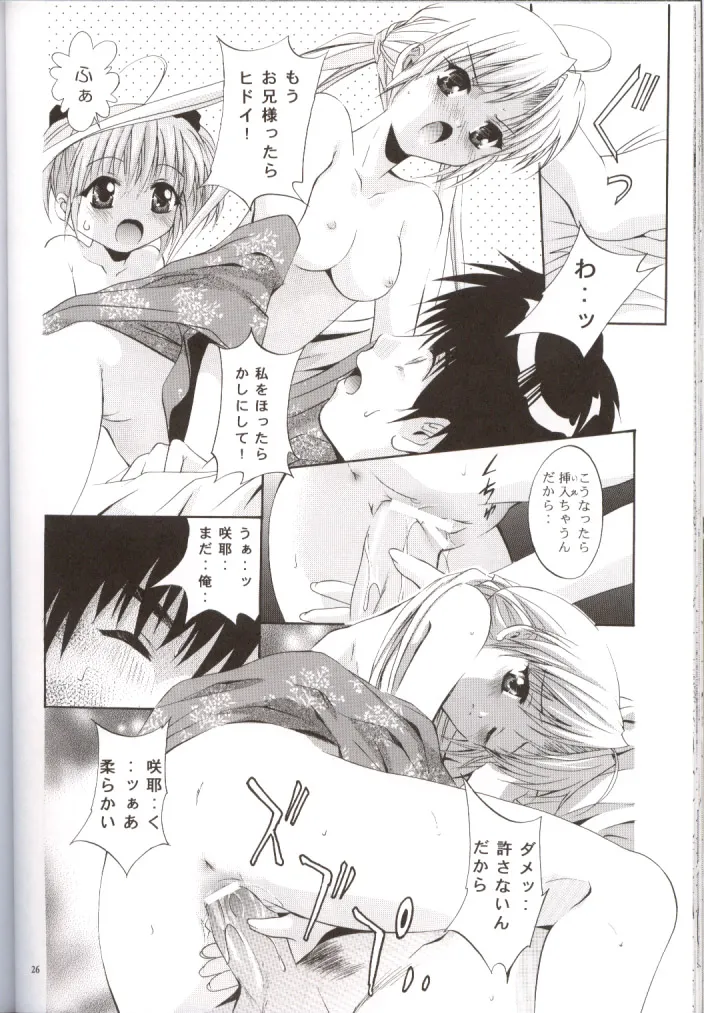 SHADOW CANVAS 13 Page.25