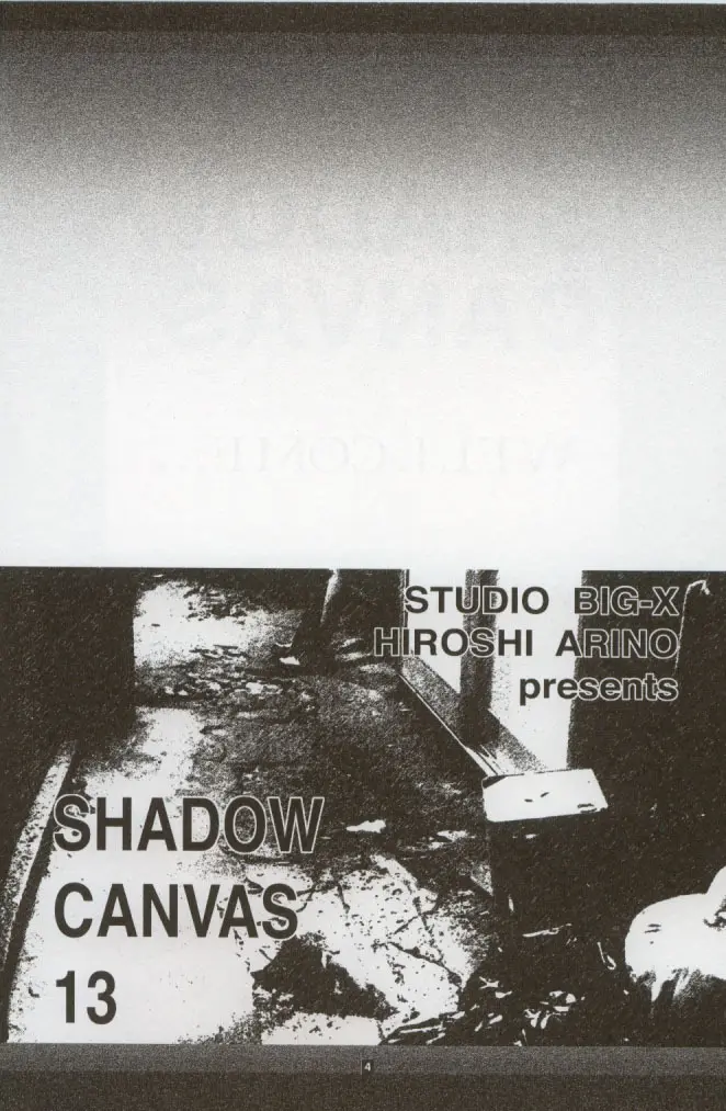 SHADOW CANVAS 13 Page.3