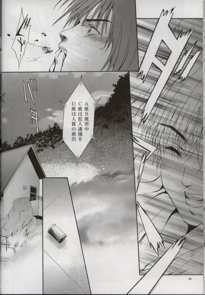 SHADOW CANVAS 13 Page.39