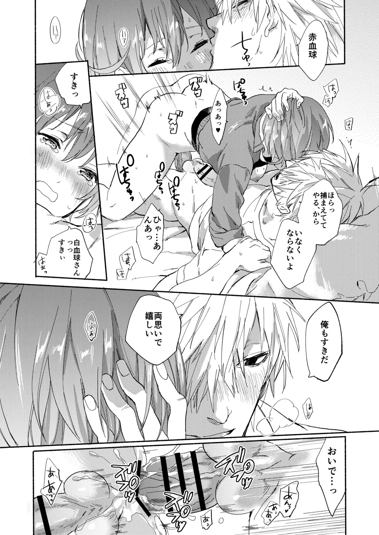 ふたなり赤血球に抱かれることになってしまった Page.27