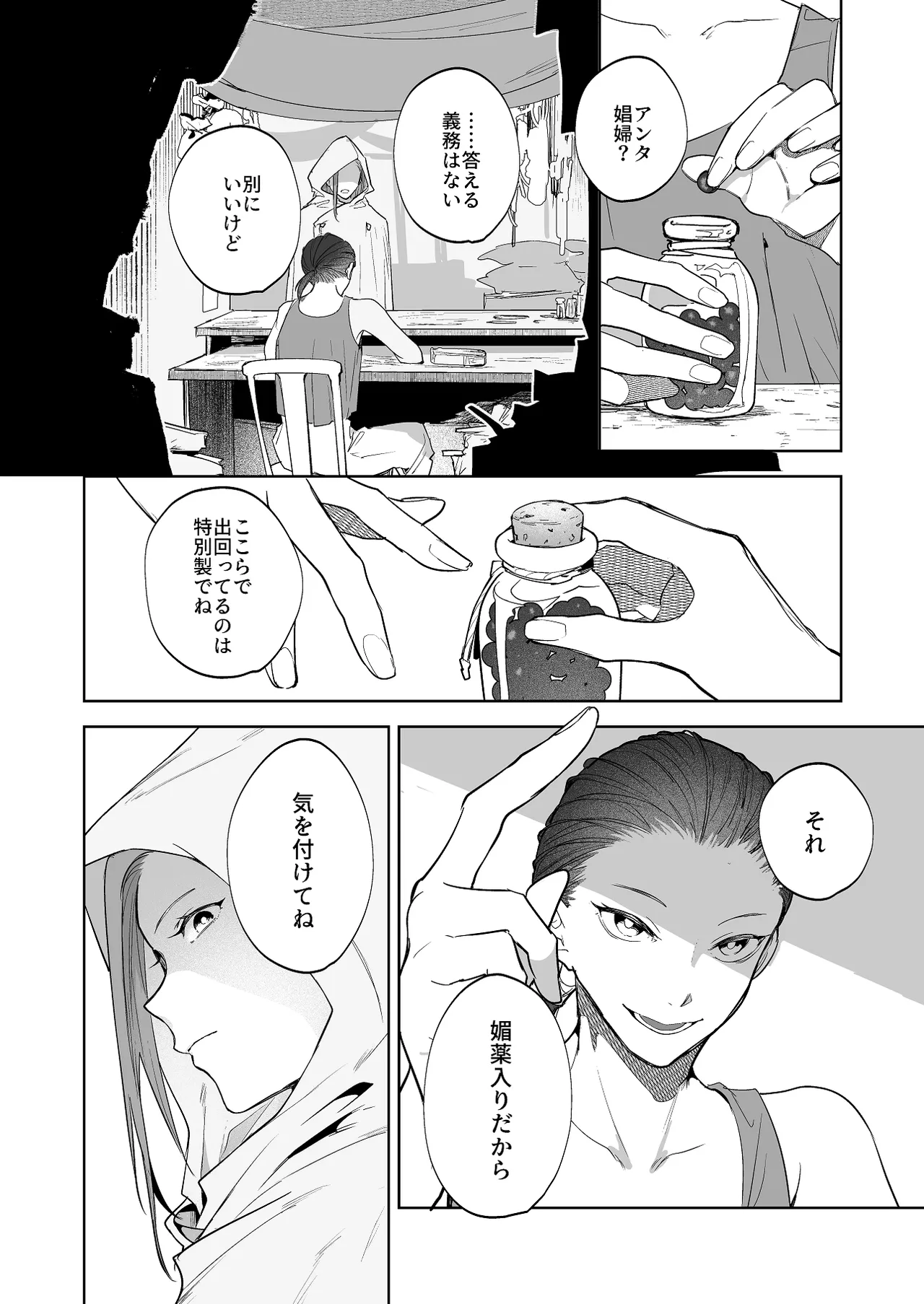 護衛女騎士と王子の関係3 Page.2