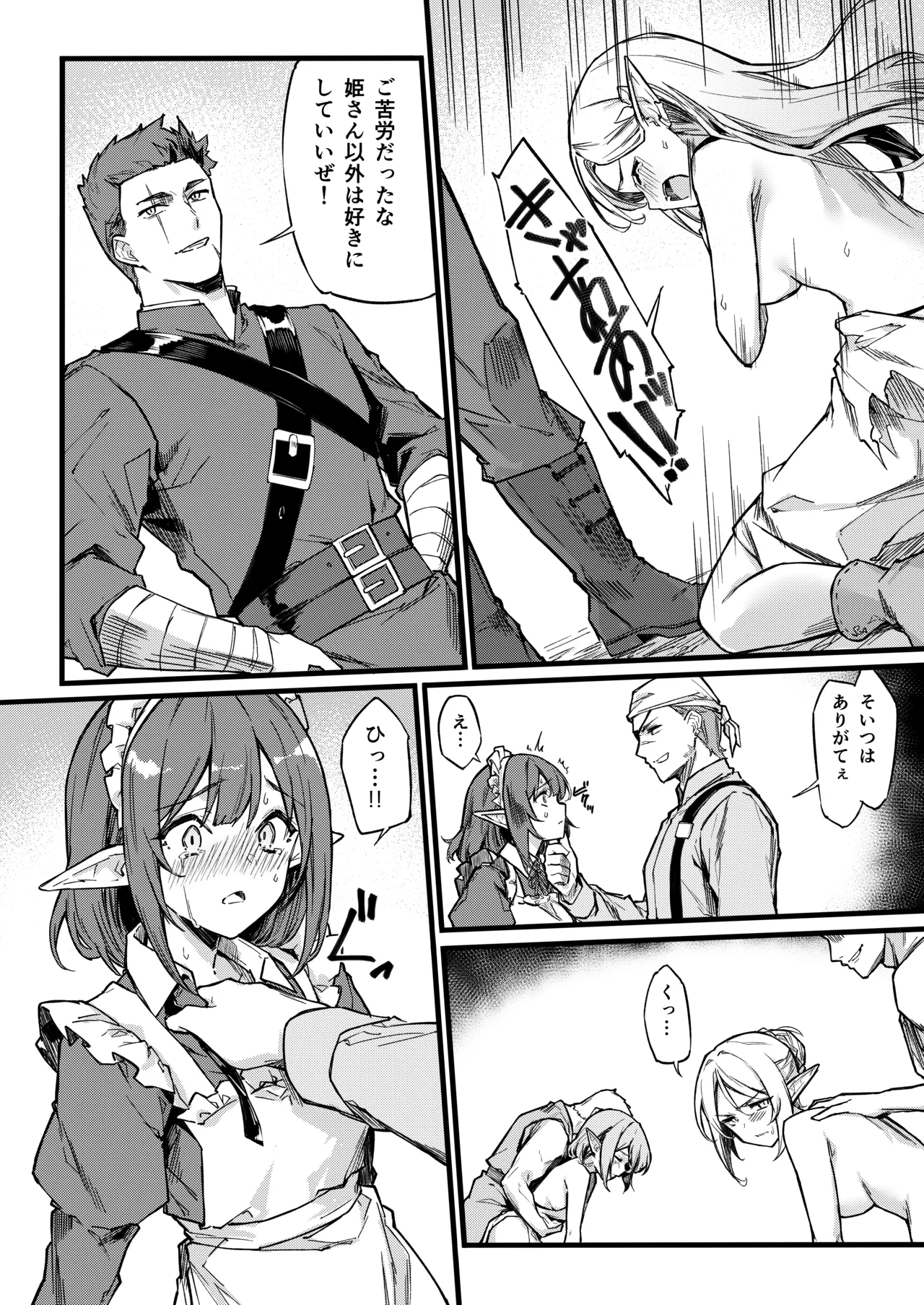 傭兵団がエルフの姫達を略奪してヤりたい放題ヤる話 Page.11