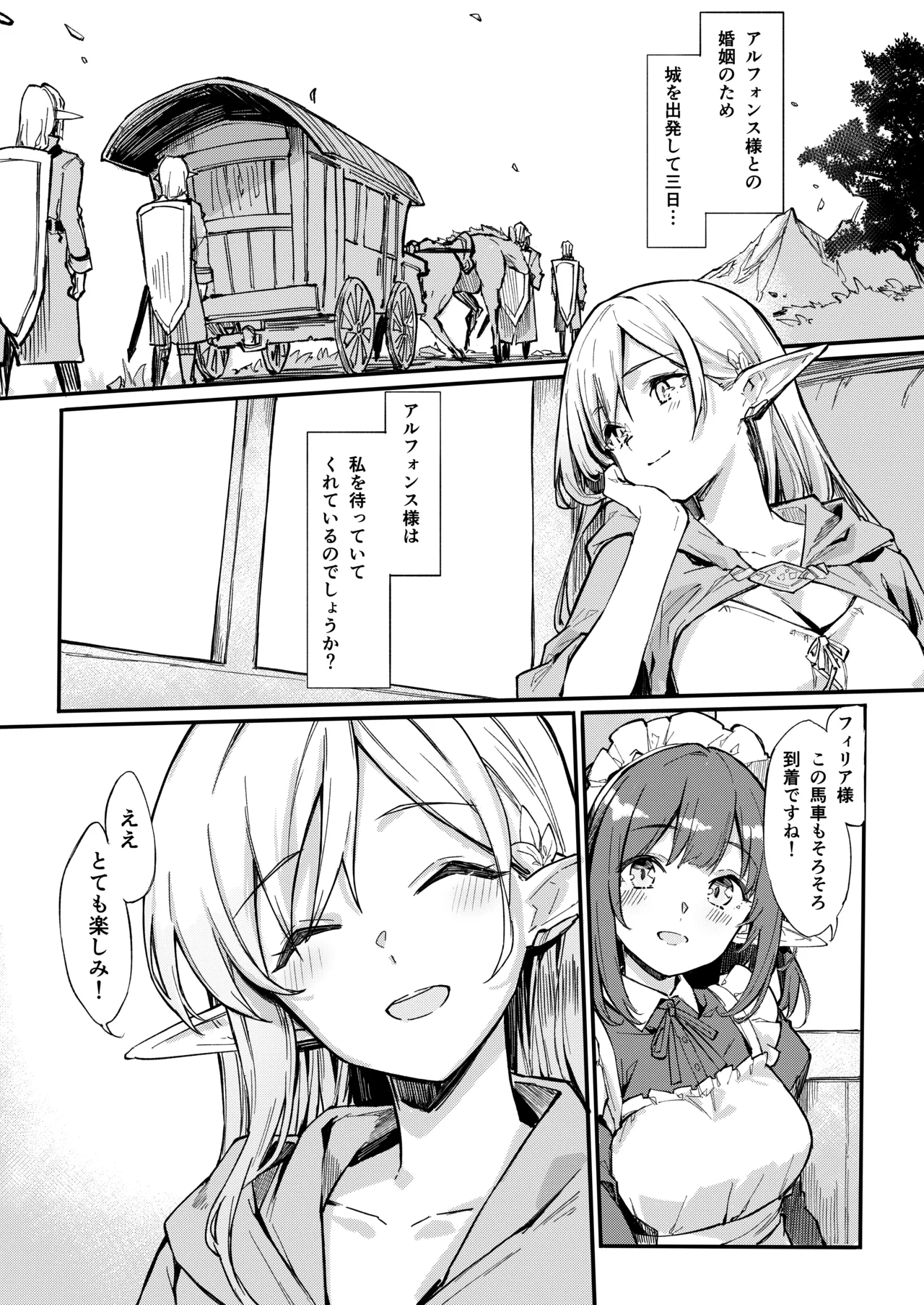 傭兵団がエルフの姫達を略奪してヤりたい放題ヤる話 Page.3