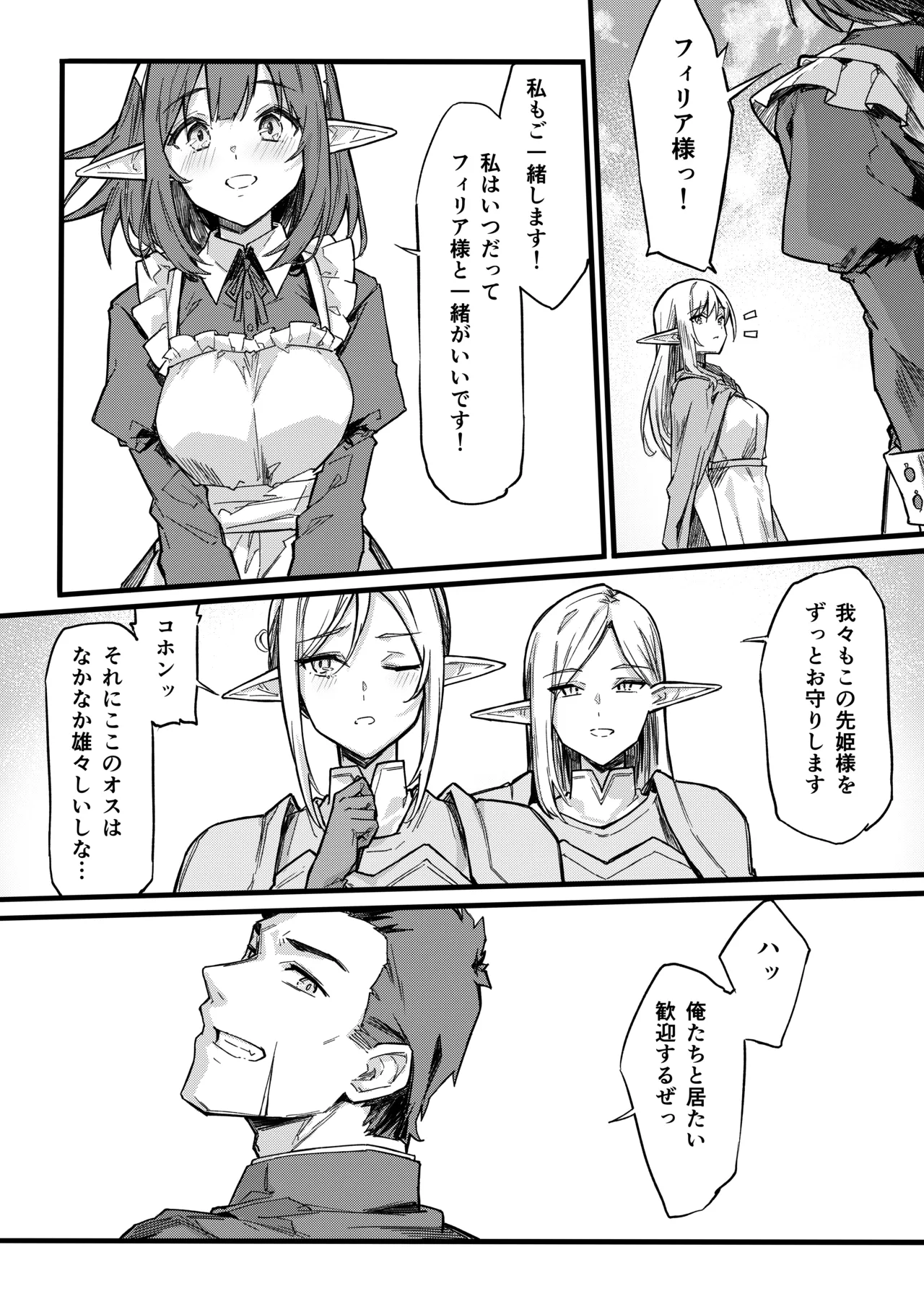 傭兵団がエルフの姫達を略奪してヤりたい放題ヤる話 Page.39