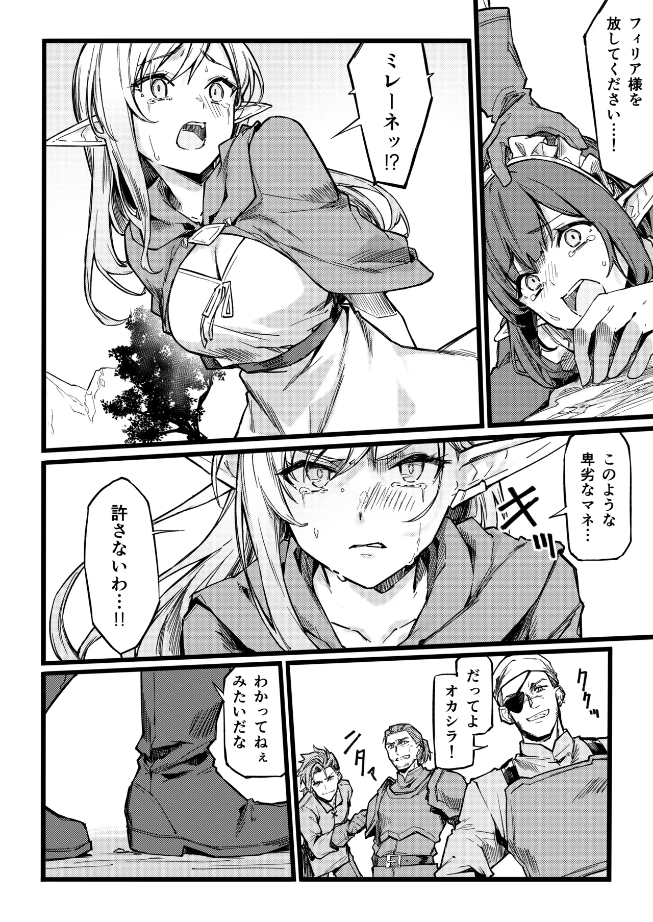 傭兵団がエルフの姫達を略奪してヤりたい放題ヤる話 Page.9