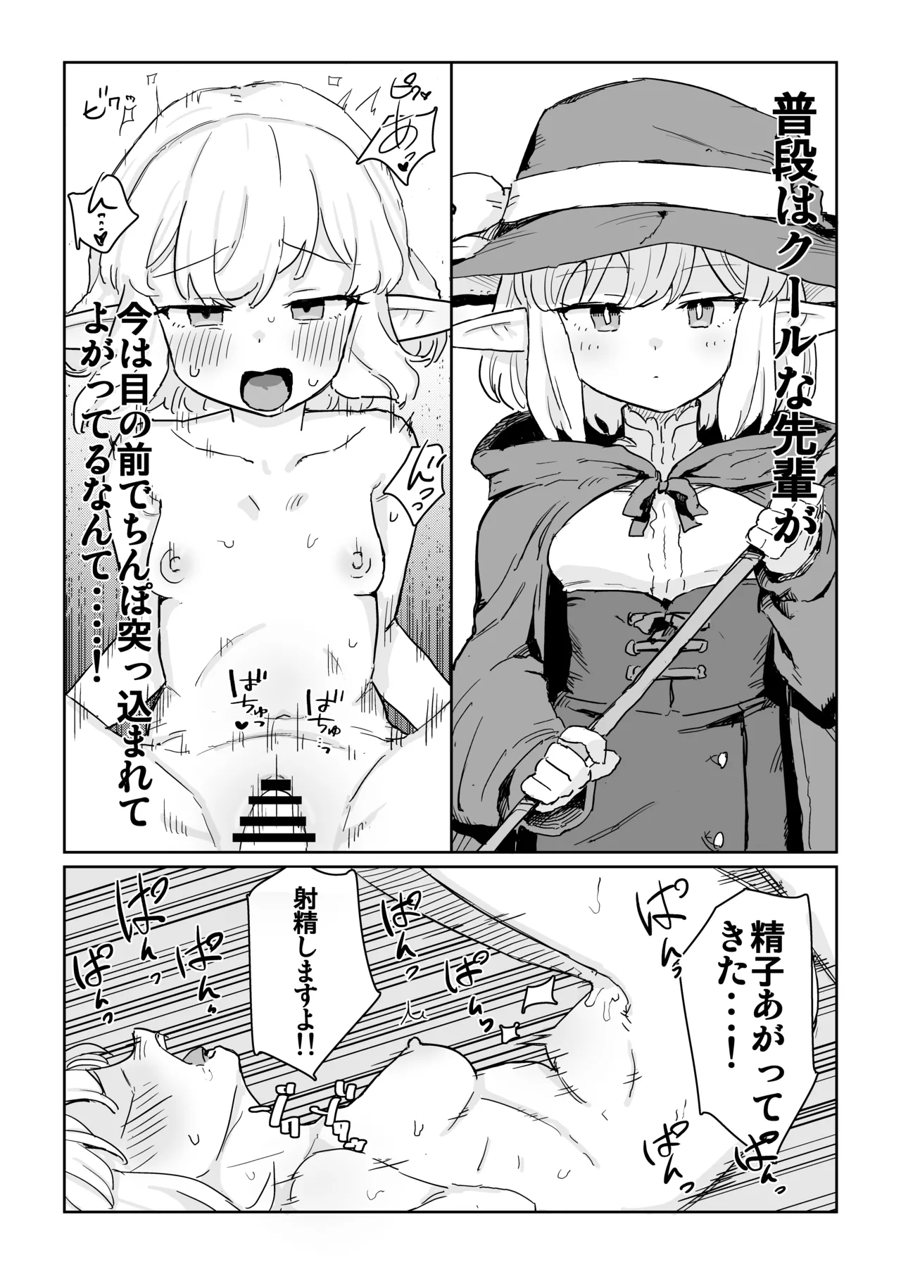 同じパーティーのクール系エルフが裏では大人の玩具で遊ぶ変態だったのでセックスすることにした Page.24