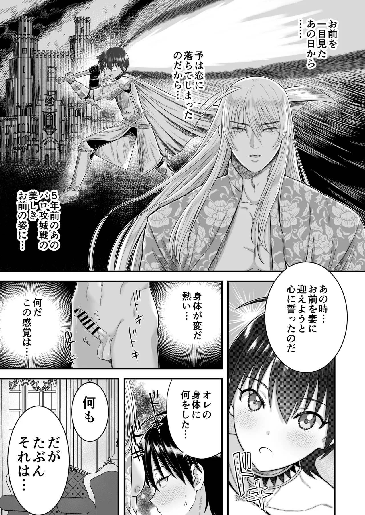 英雄陥落 ～選ばれし光の戦士が魔王の妻に!?～ Page.22