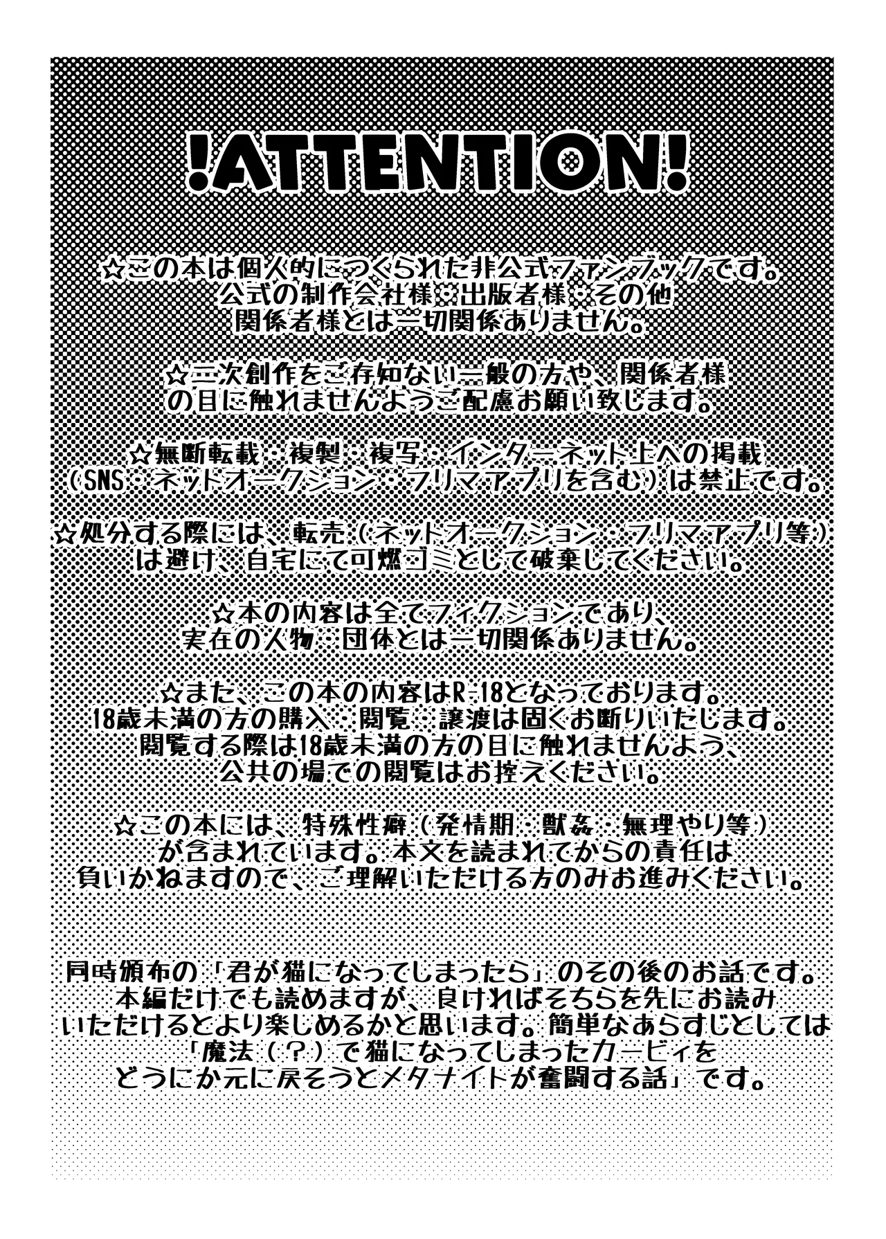 君の帰りを待ってる【Web再録】 Page.2