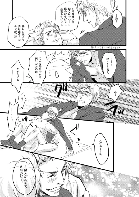 イドゥンの実を食べた国 [WEB再録] Page.32