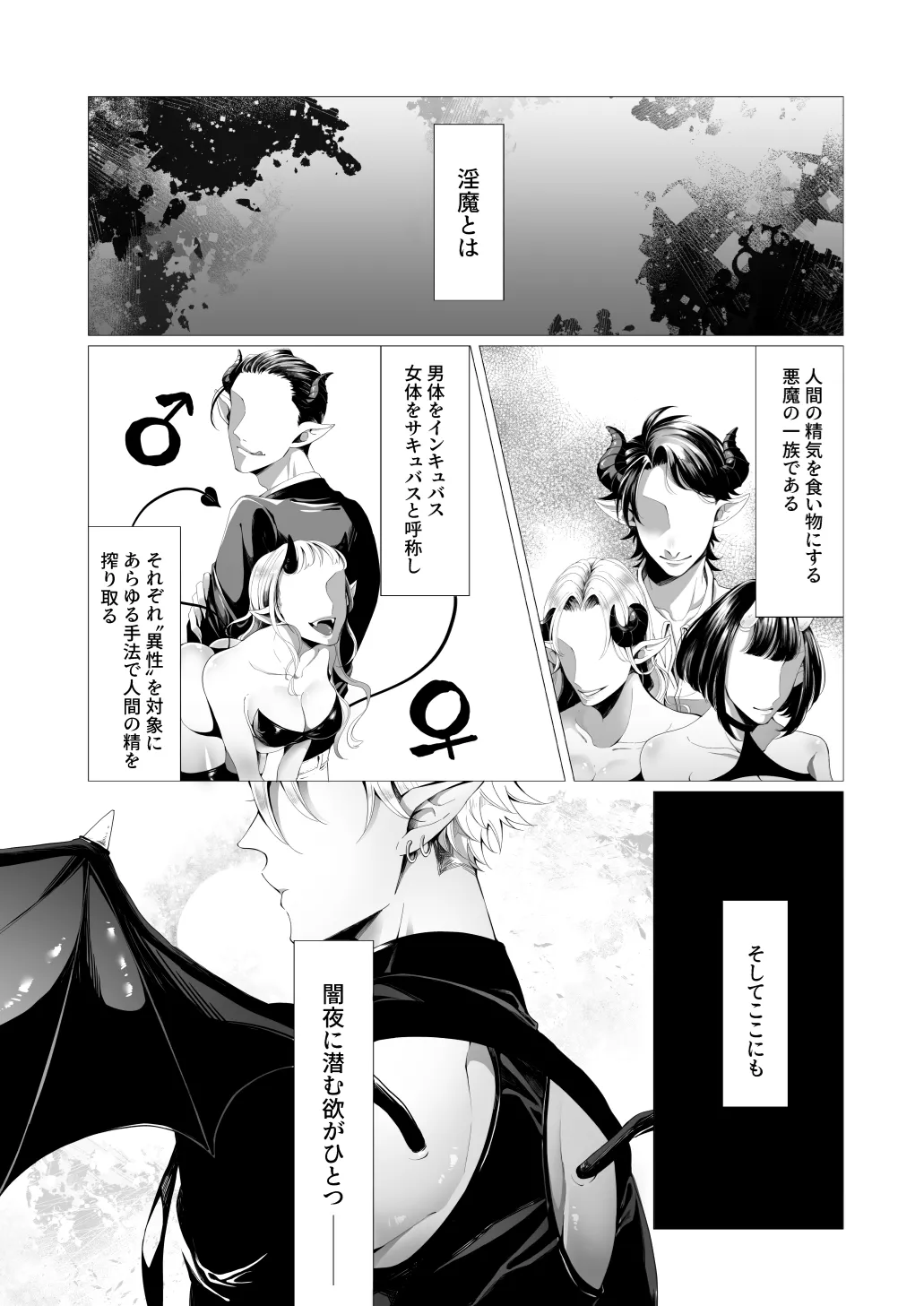 サキュ堕ちインキュバス Page.2