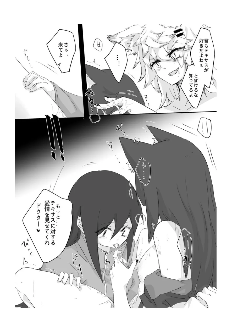 アークナイツのオオカミ丼 Page.12